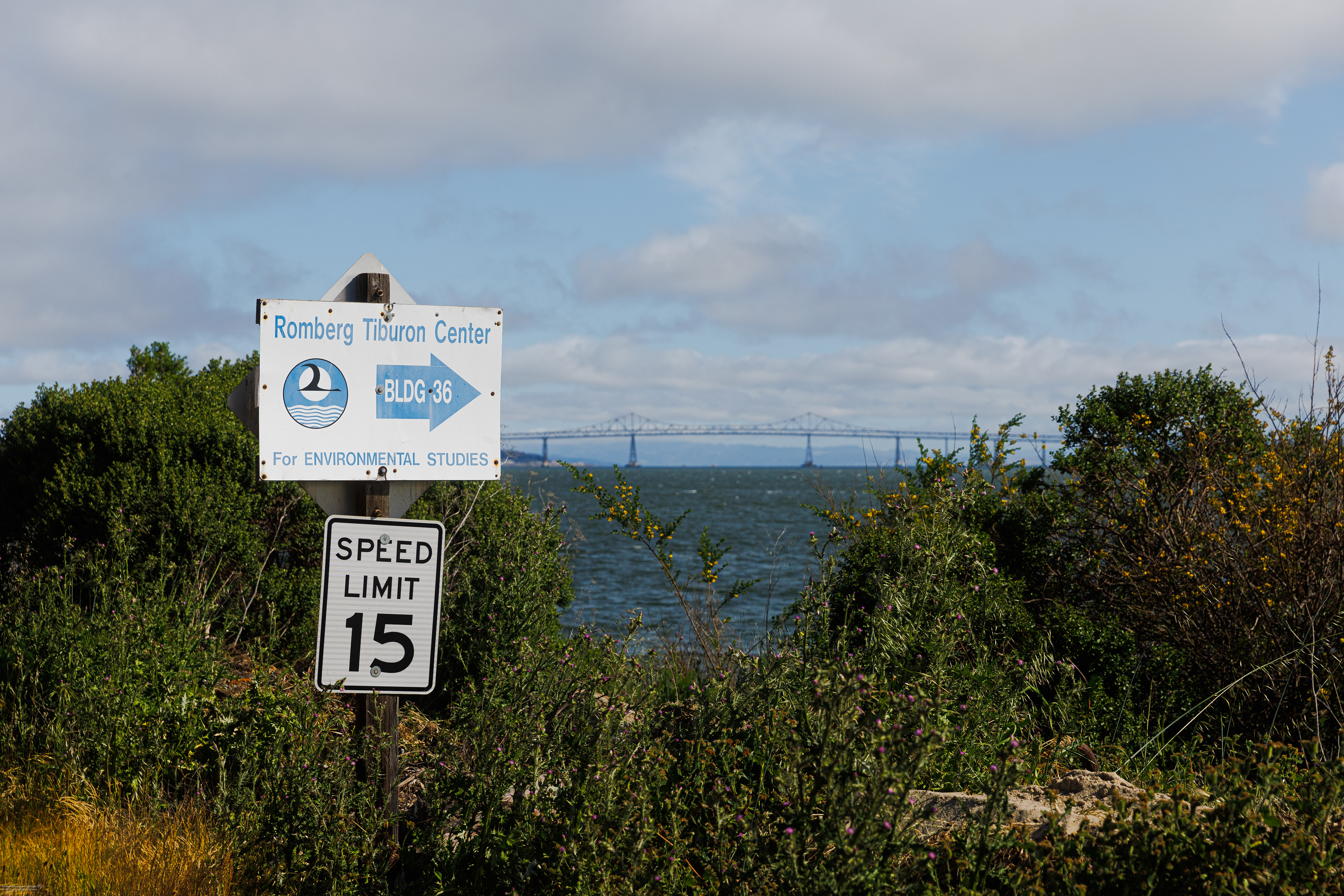 EOS RP | EF 24-70 f/2.8L II