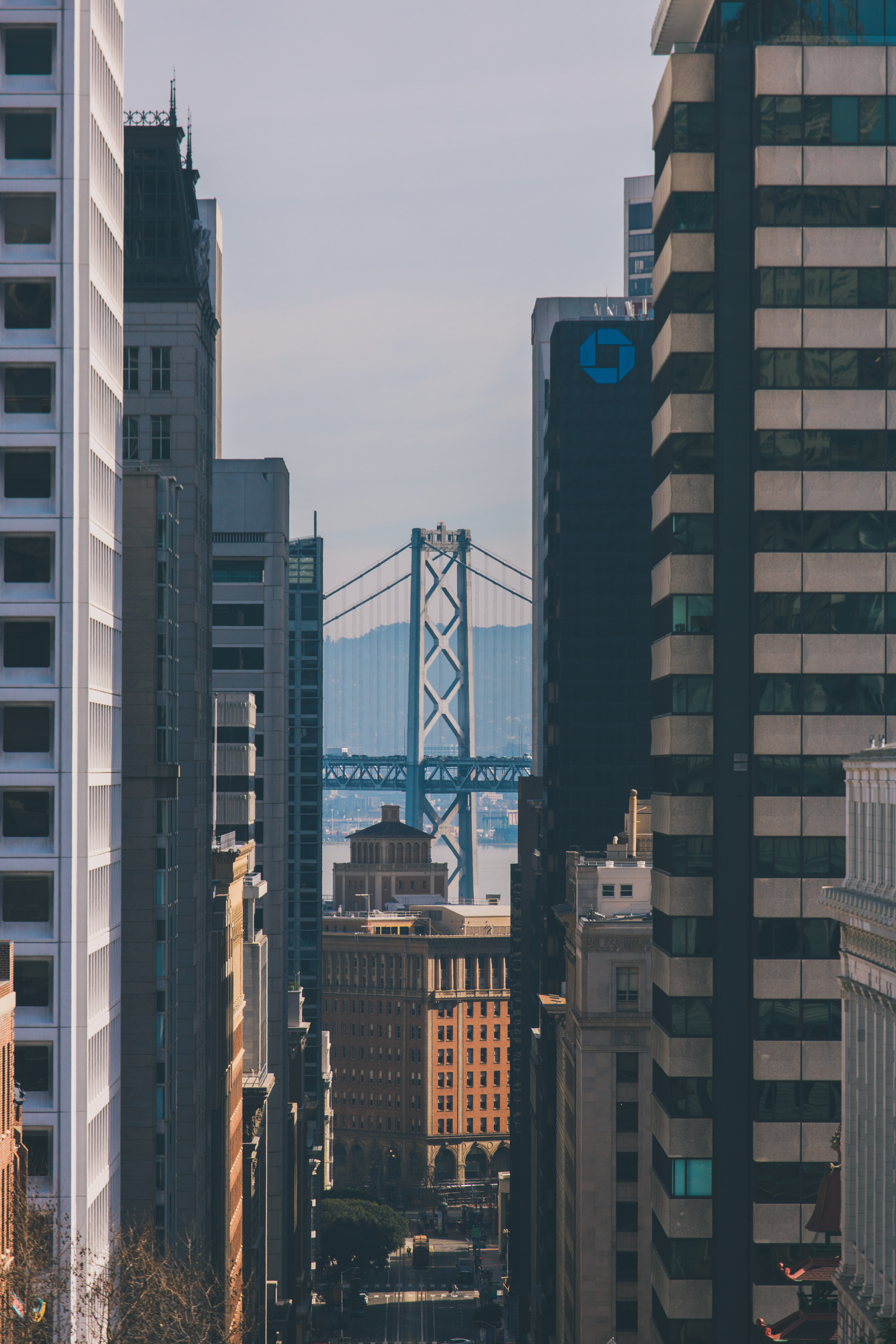 EOS RP | EF 70-200 f/4L