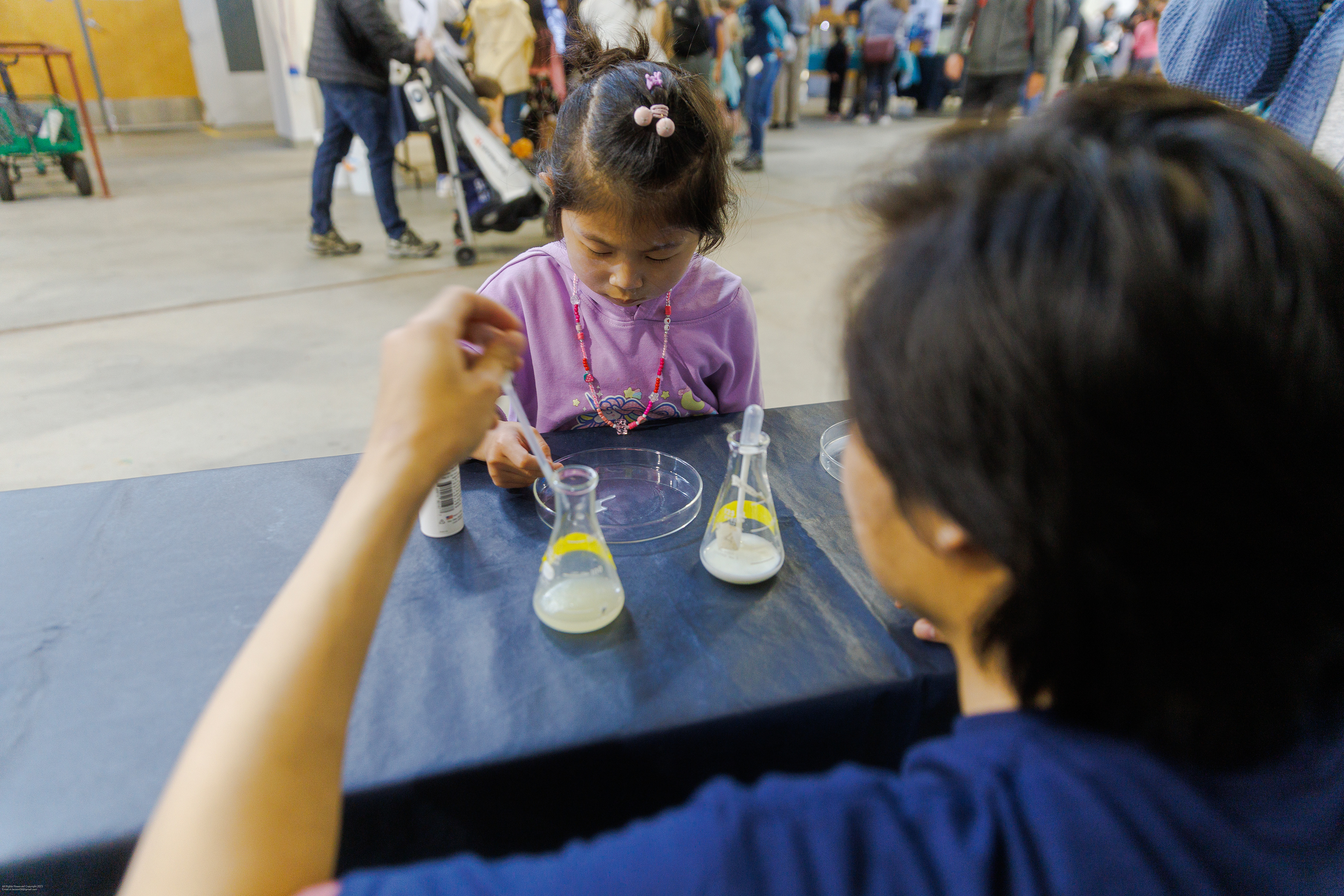 EOS RP | EF 24-70 f/2.8L II