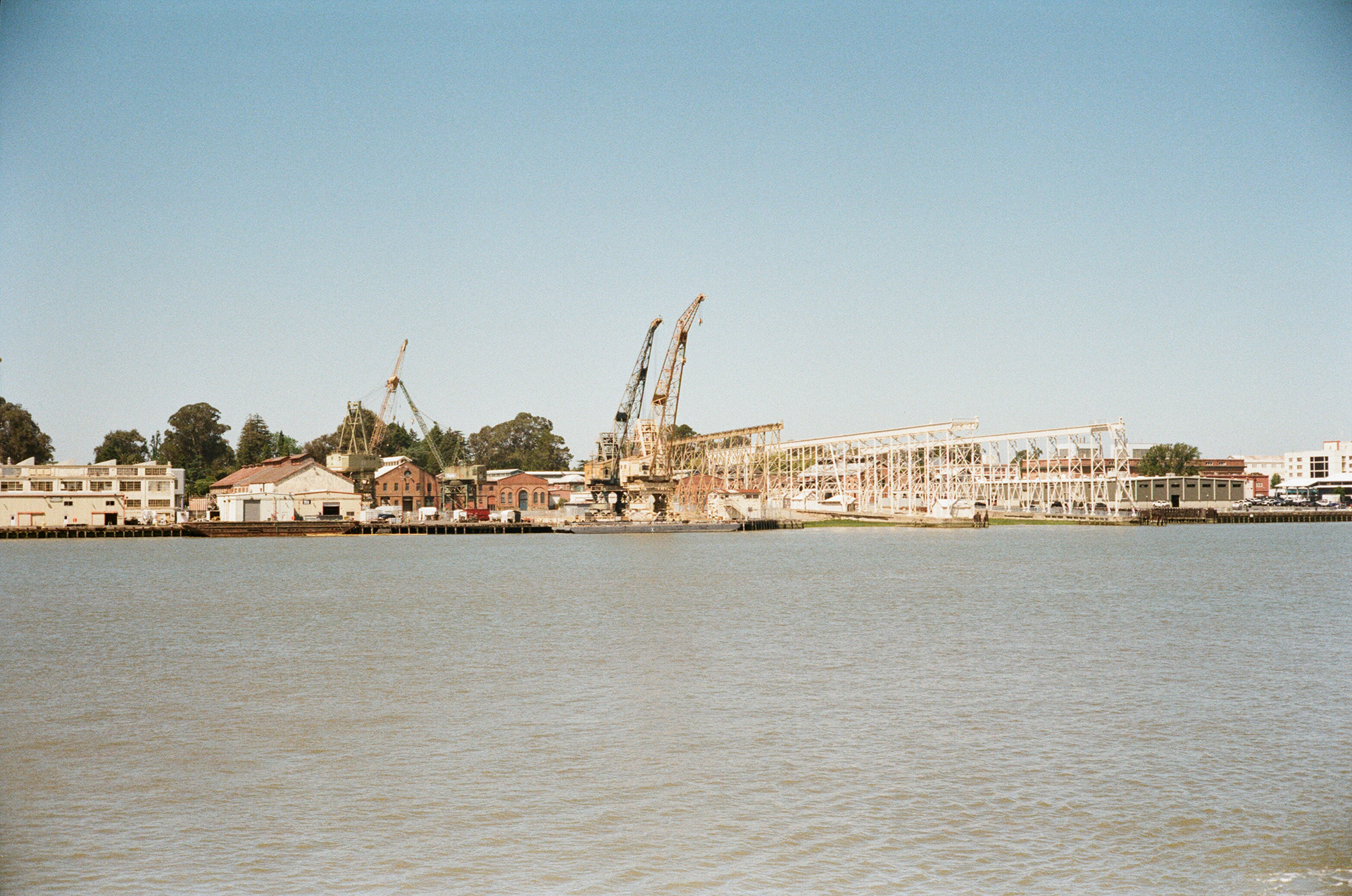Yashica Electro 35 | FujiFilm 200