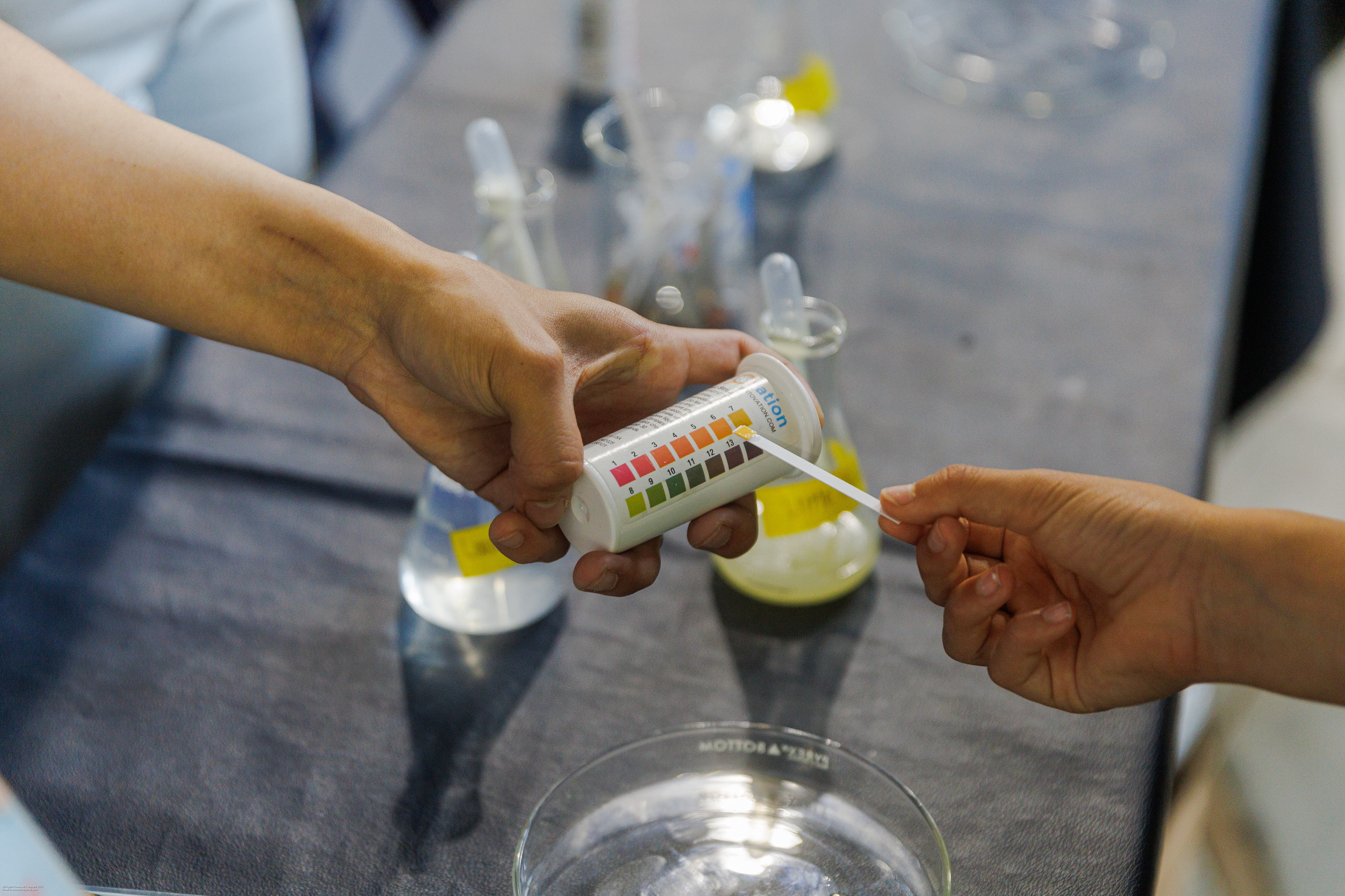 EOS RP | EF 24-70 f/2.8L II