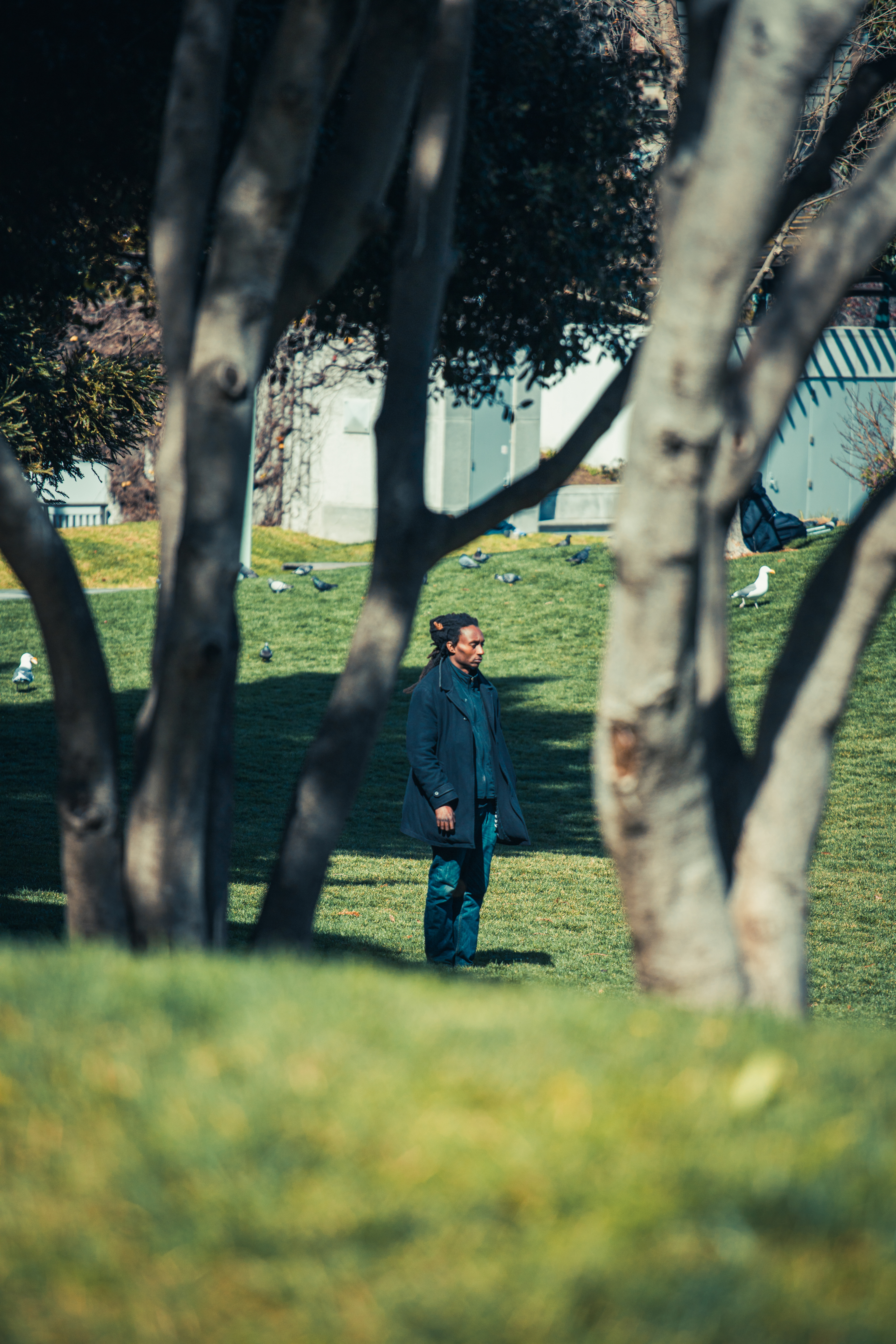 EOS RP | EF 70-200 f/4L