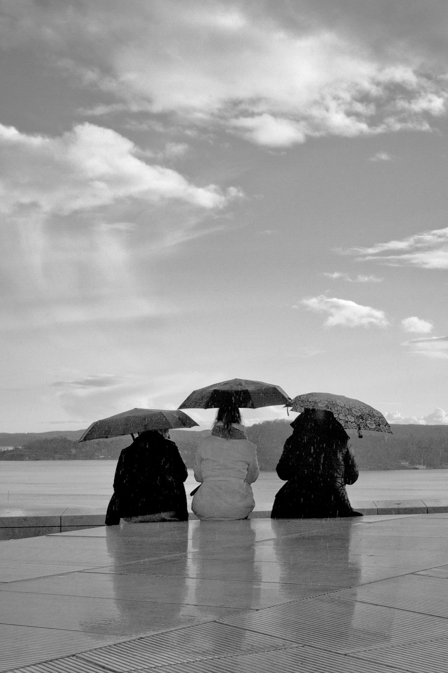 operataket / Opera roof, Oslo