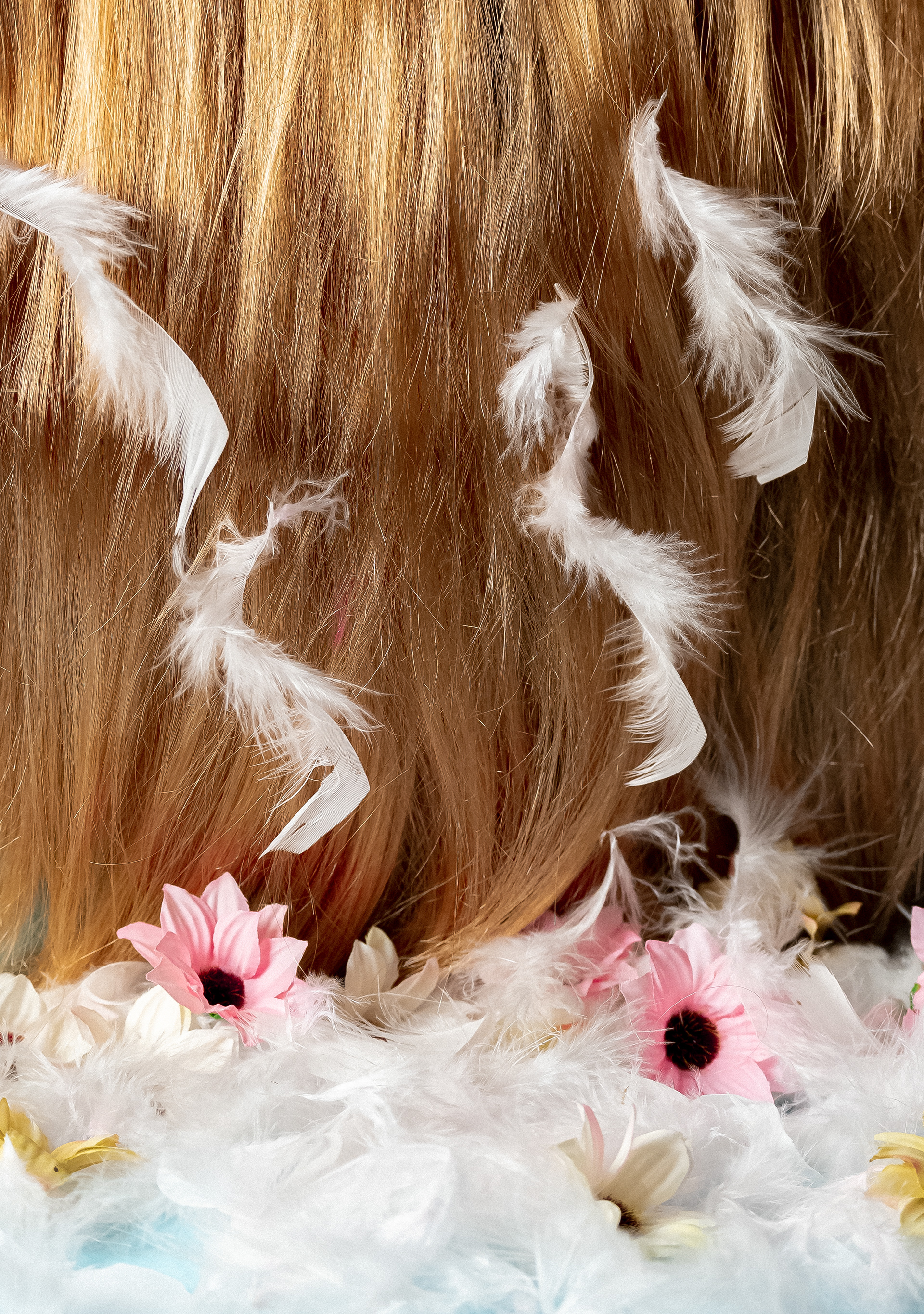 Les cheveux de Vénus Z