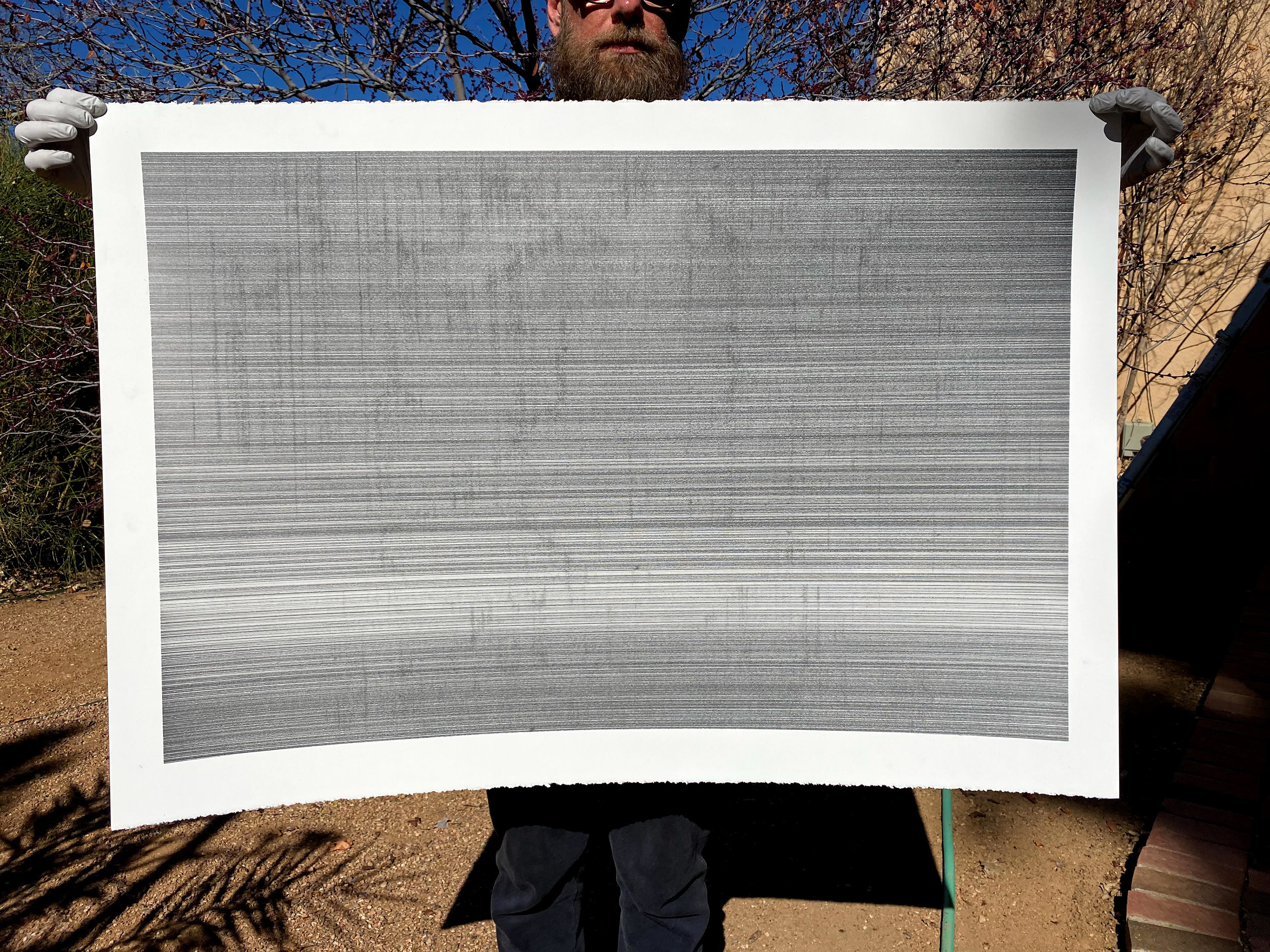 Olympia. 26x40” Graphite on paper. 2020