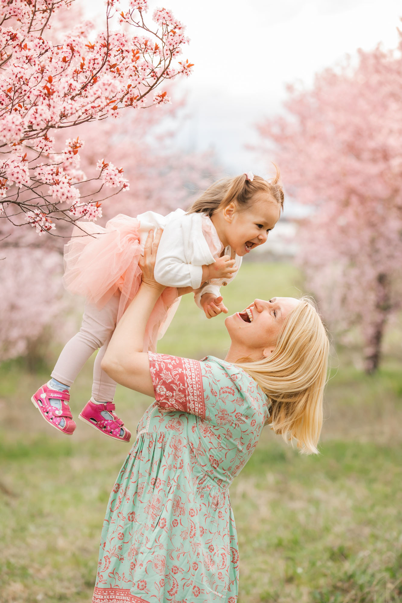 Spring family photo session in the cherry blossoms in Canberra. © Olia Photography