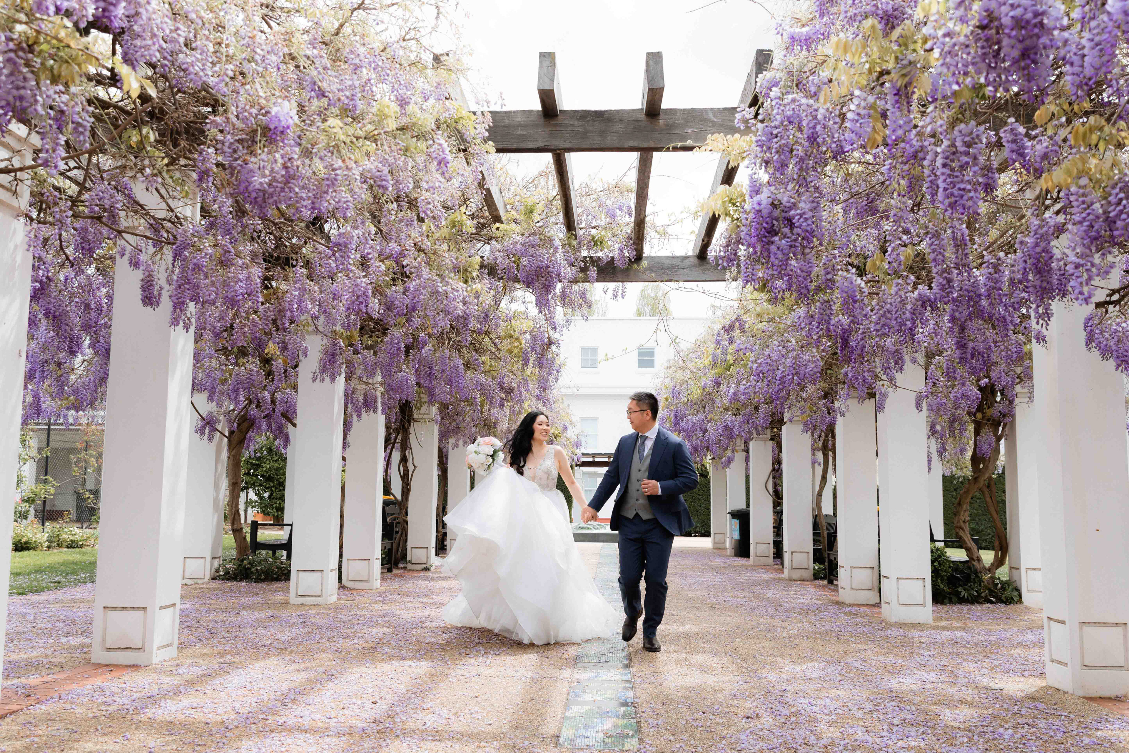 Wedding portraits beneath the wisteria at Old Parliament House