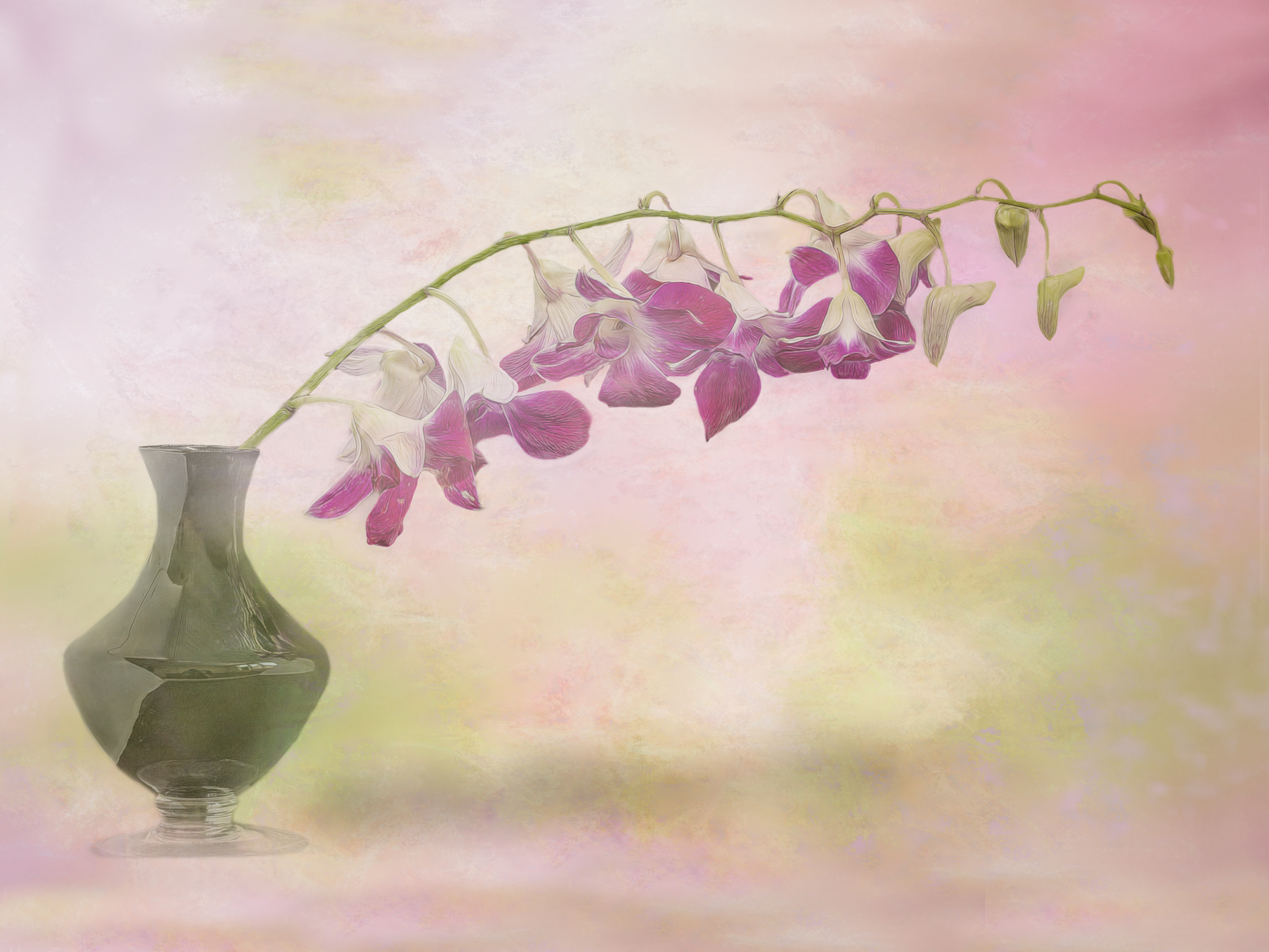 Orchid Spray