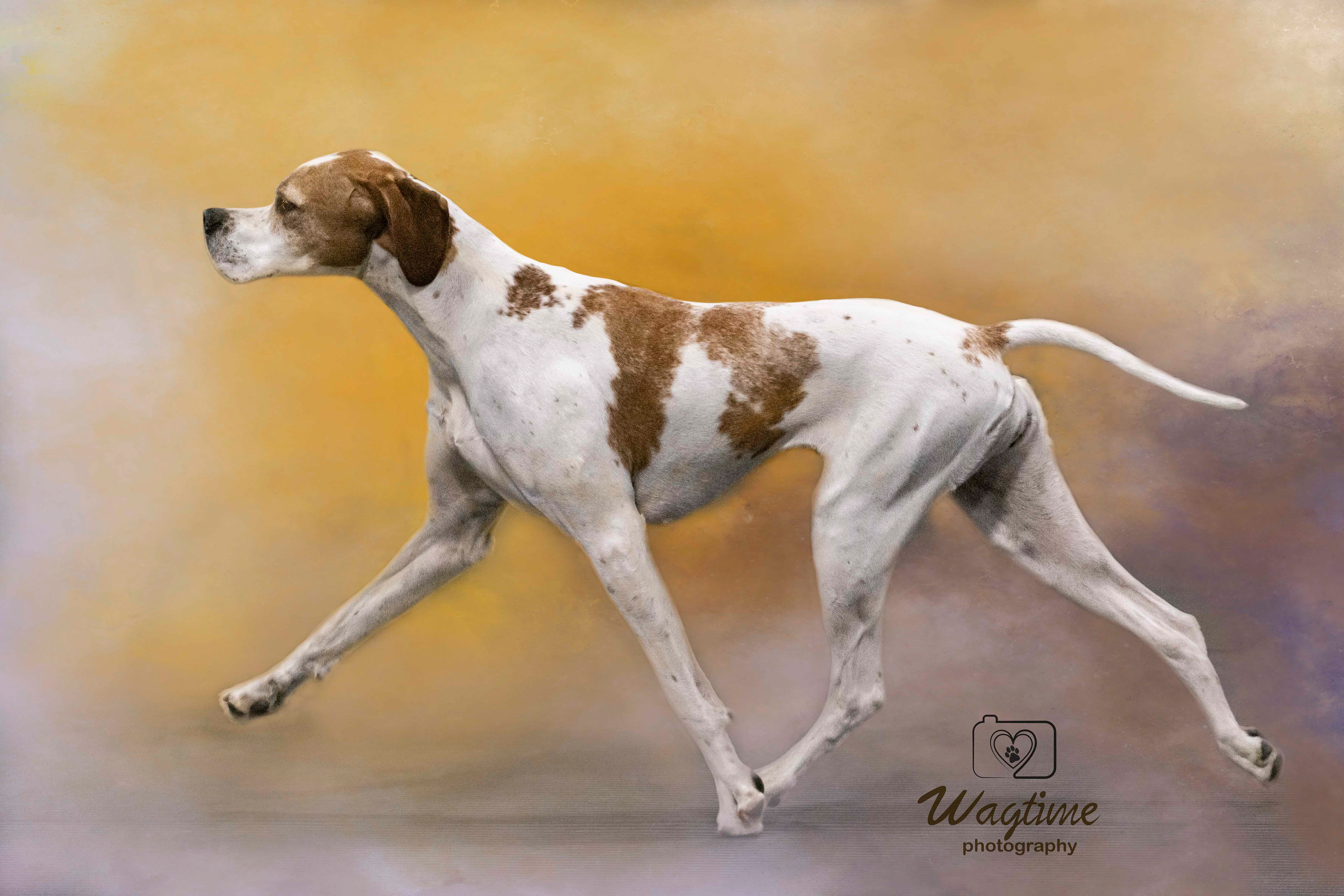 Pointer Perfection
