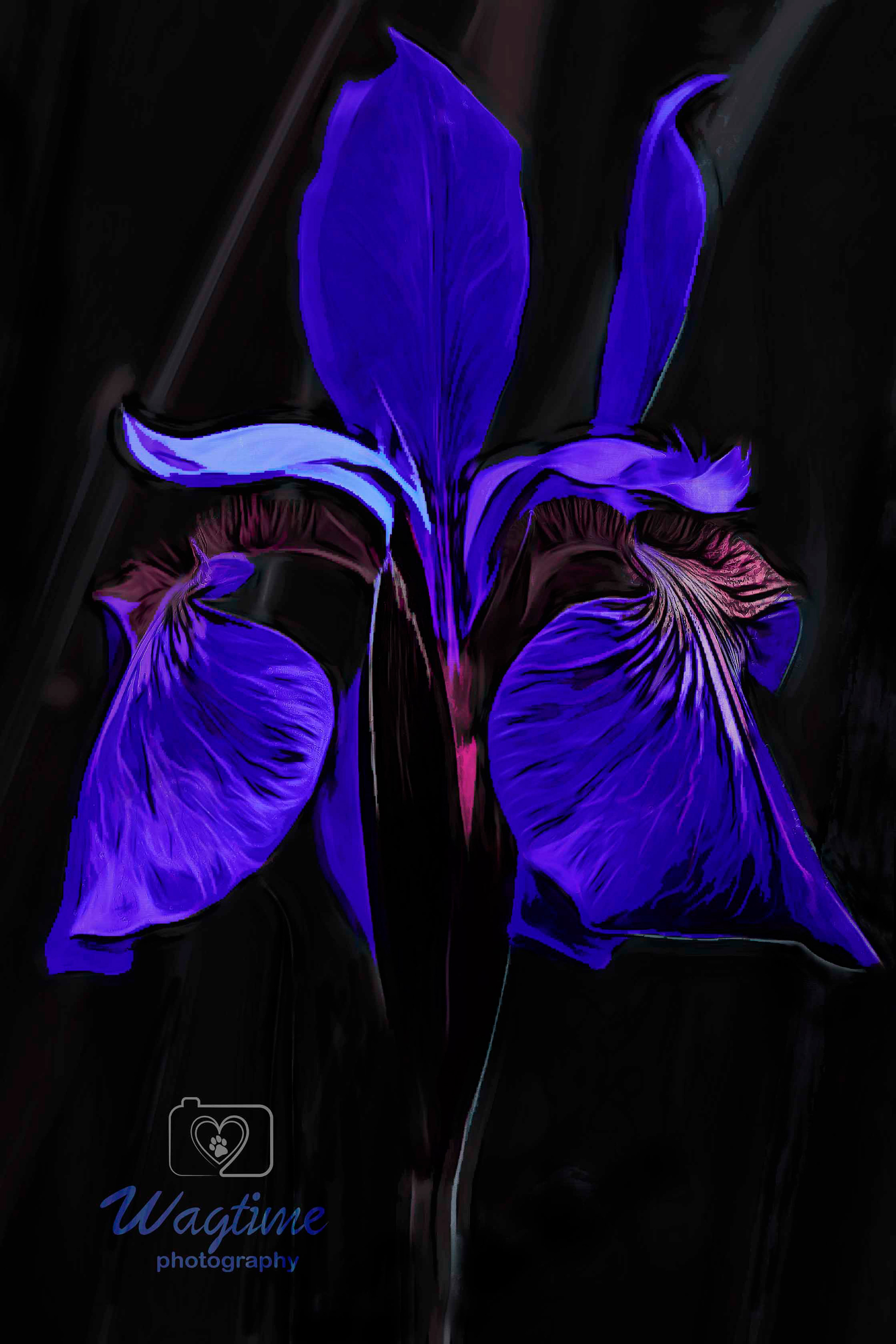 Electric Iris
