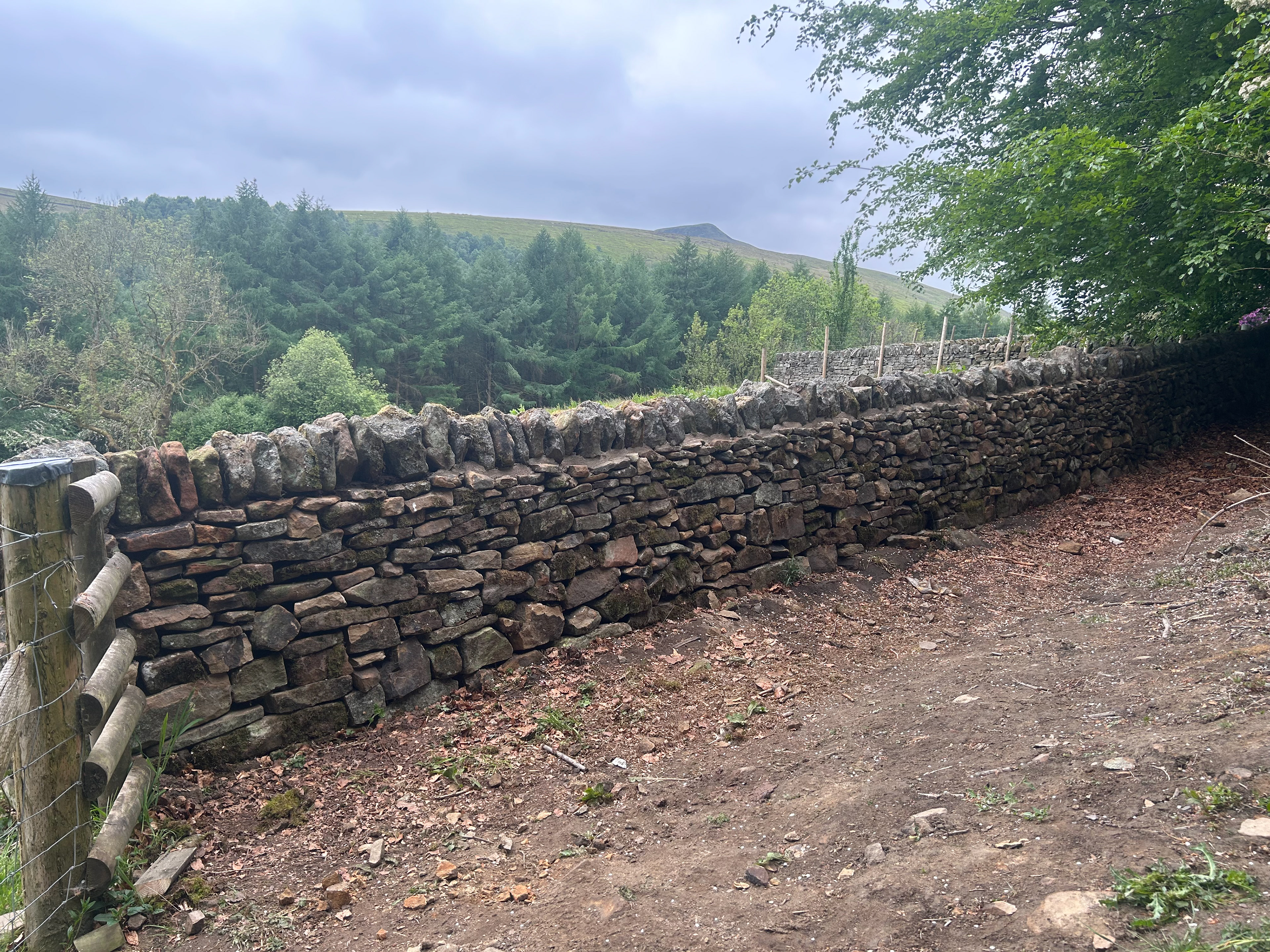 Field wall rebuild near Bamford
