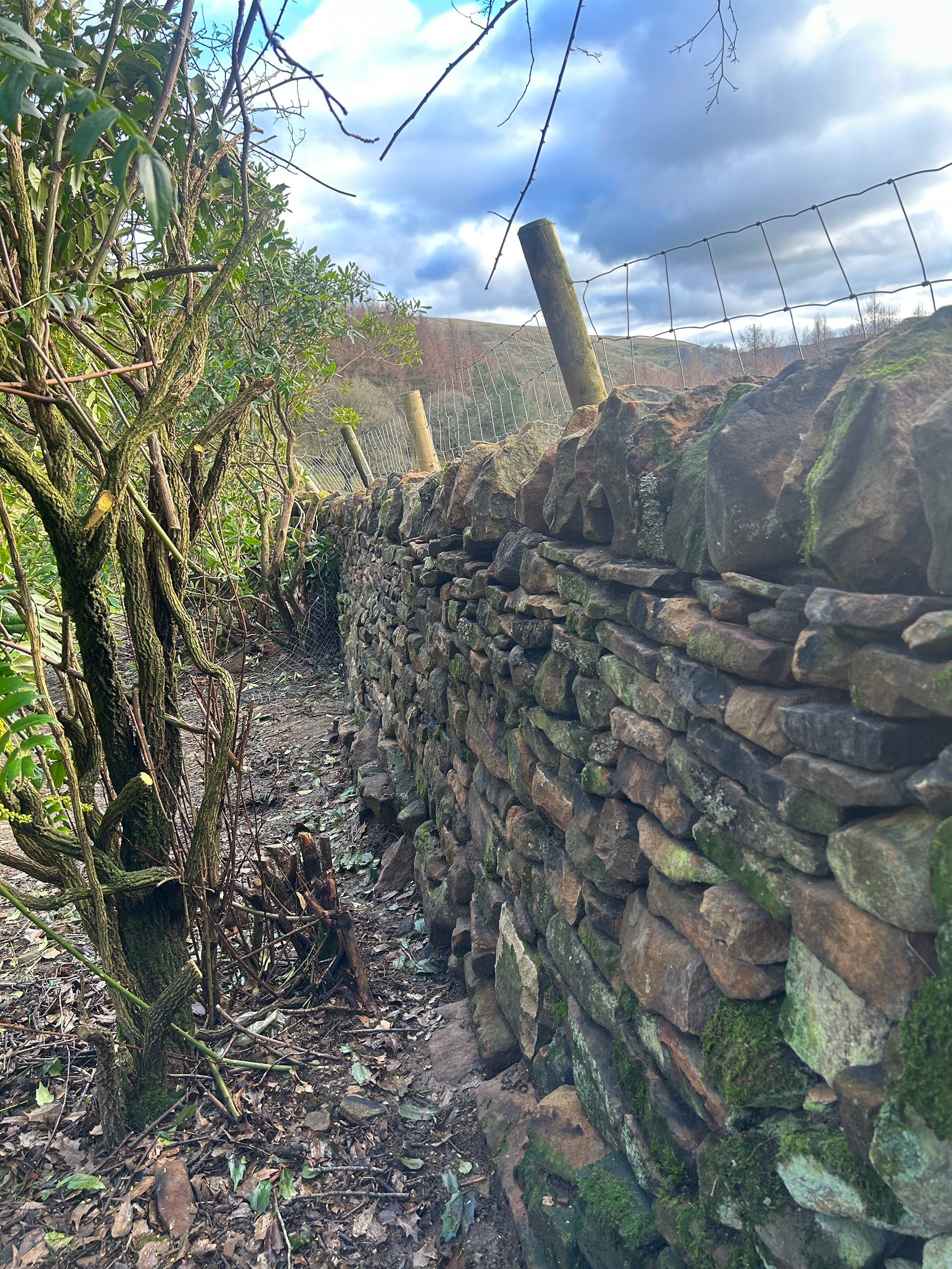 Drystone wall rebuild. Ladybower
