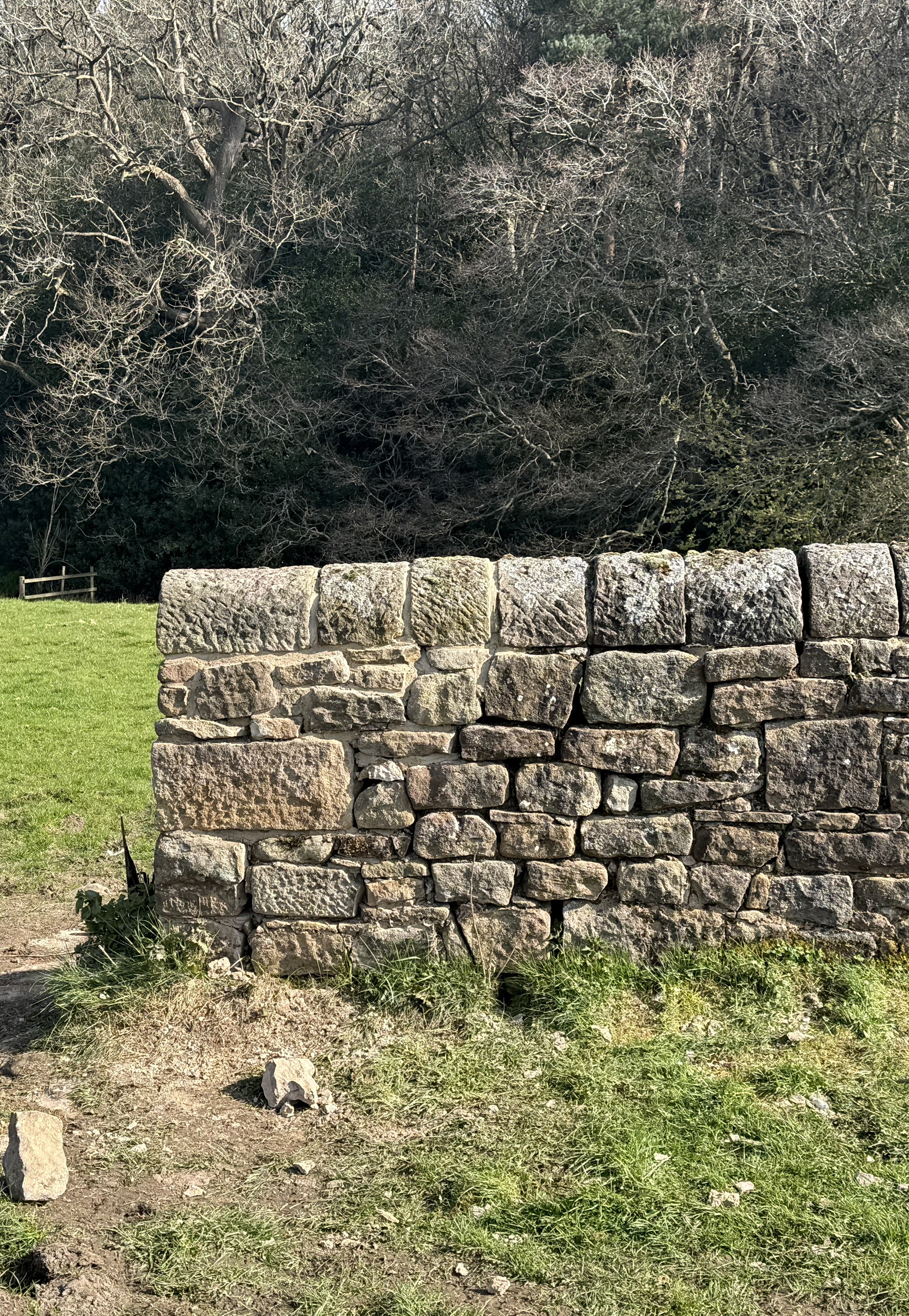 Wallhead repair - Lea