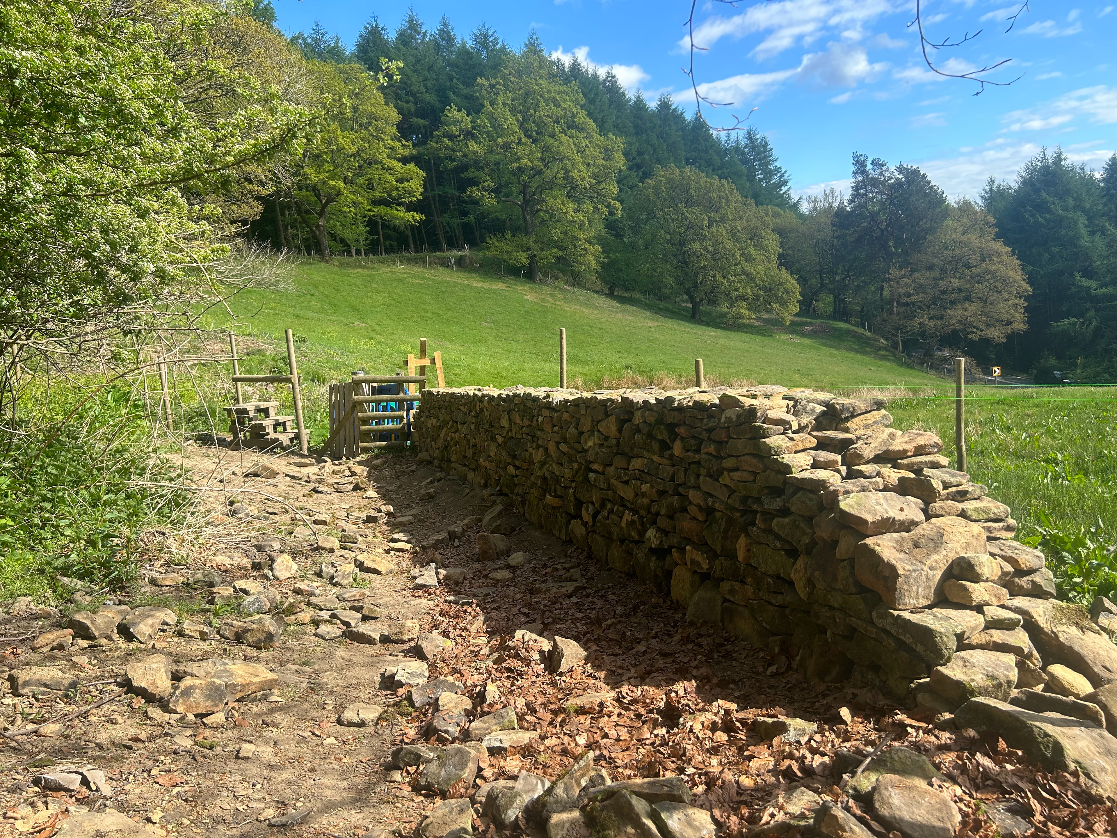 Drystone field wall in progress