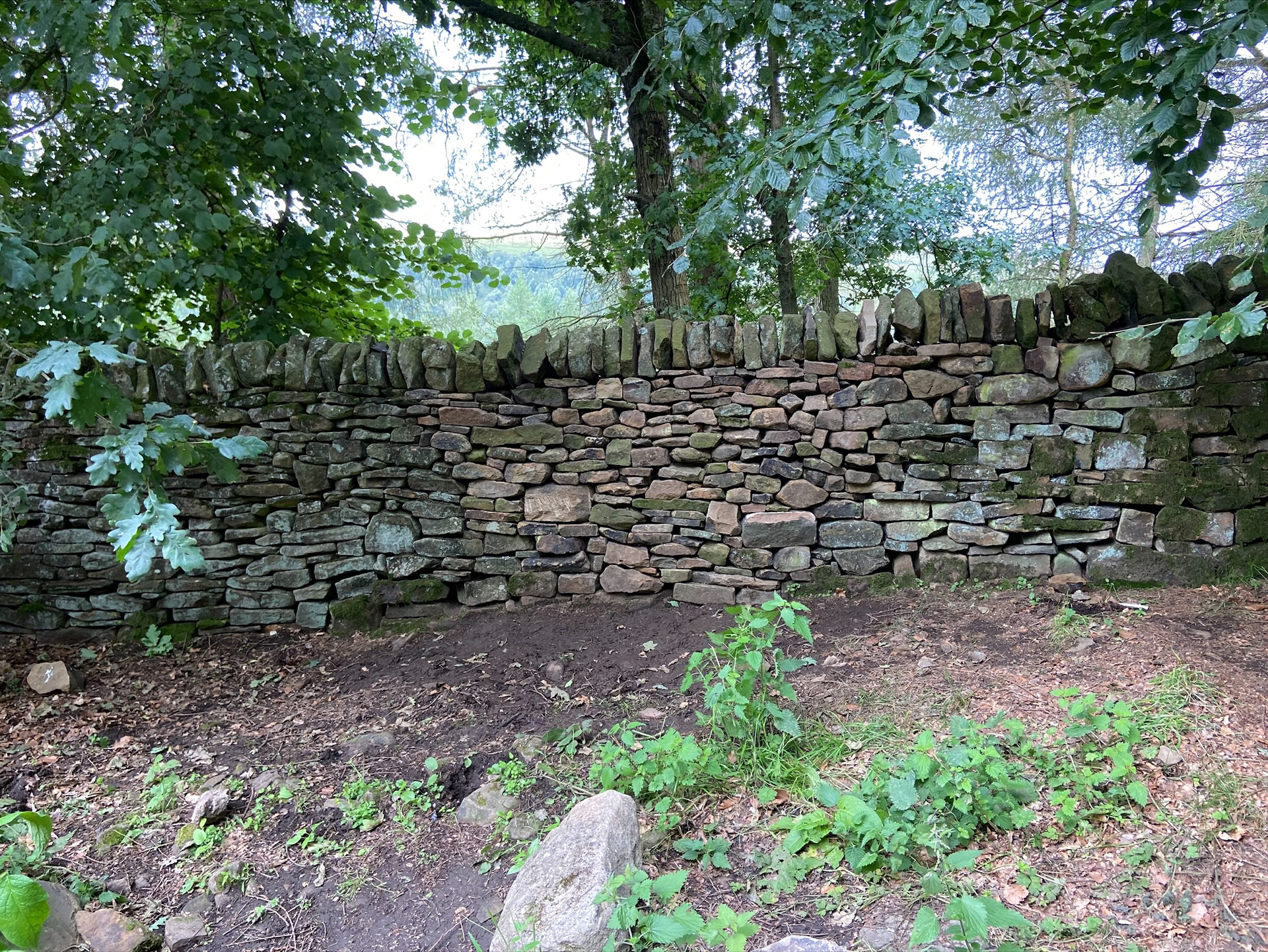 Field wall repair - Hope Valley