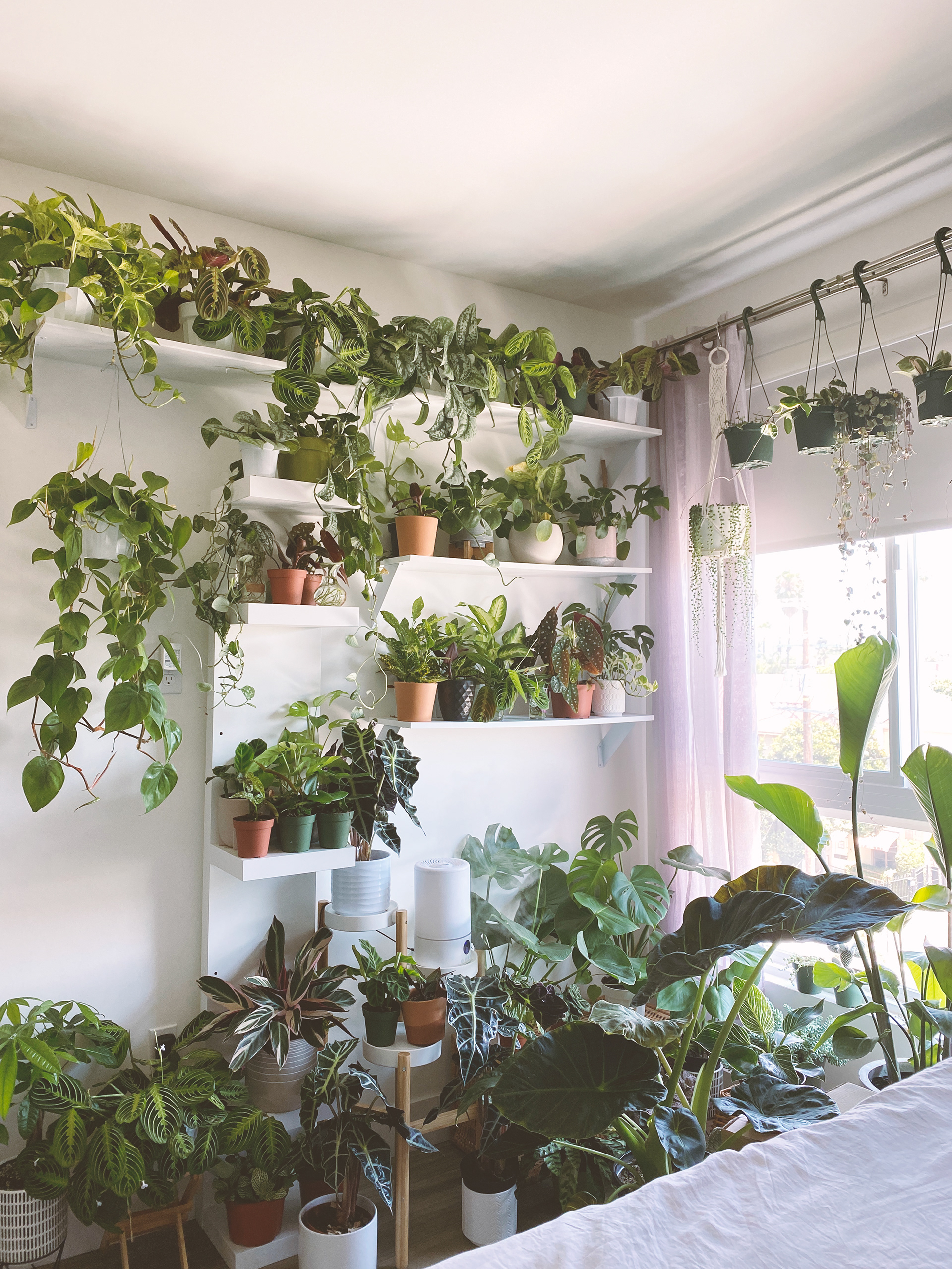 Potted Time HQ