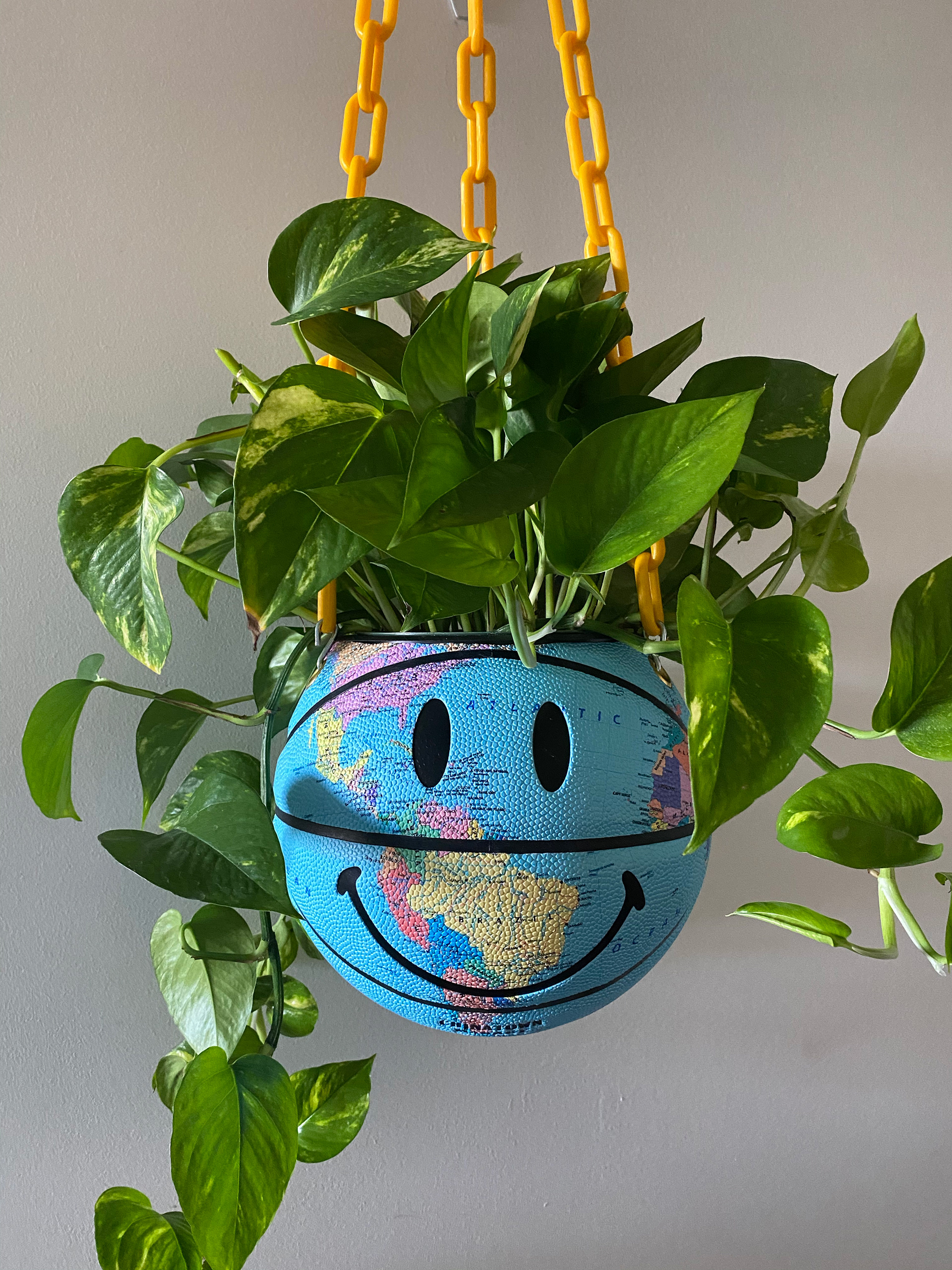 Chinatown Basketball Planter