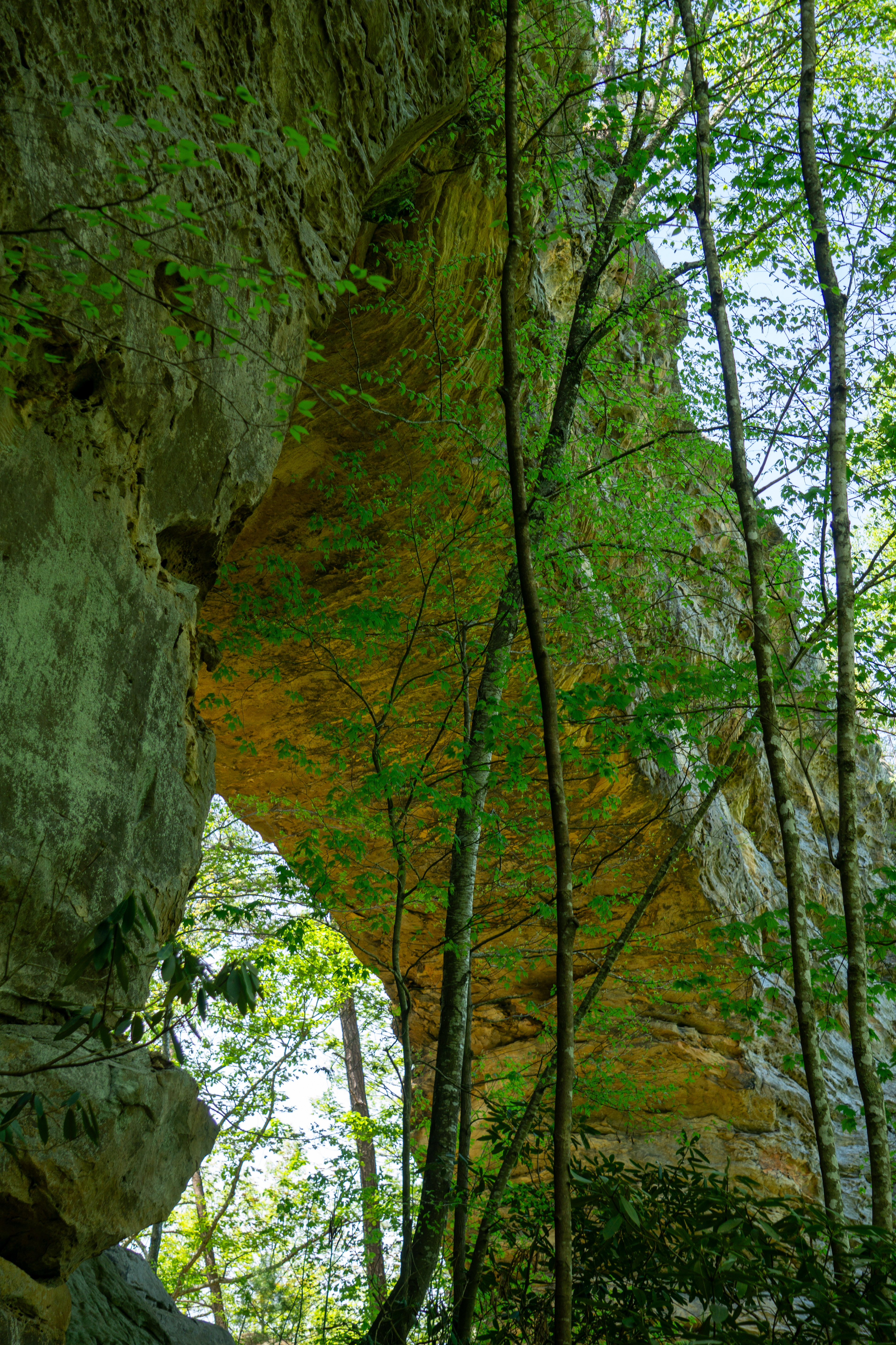 Beneath Natural Bridge