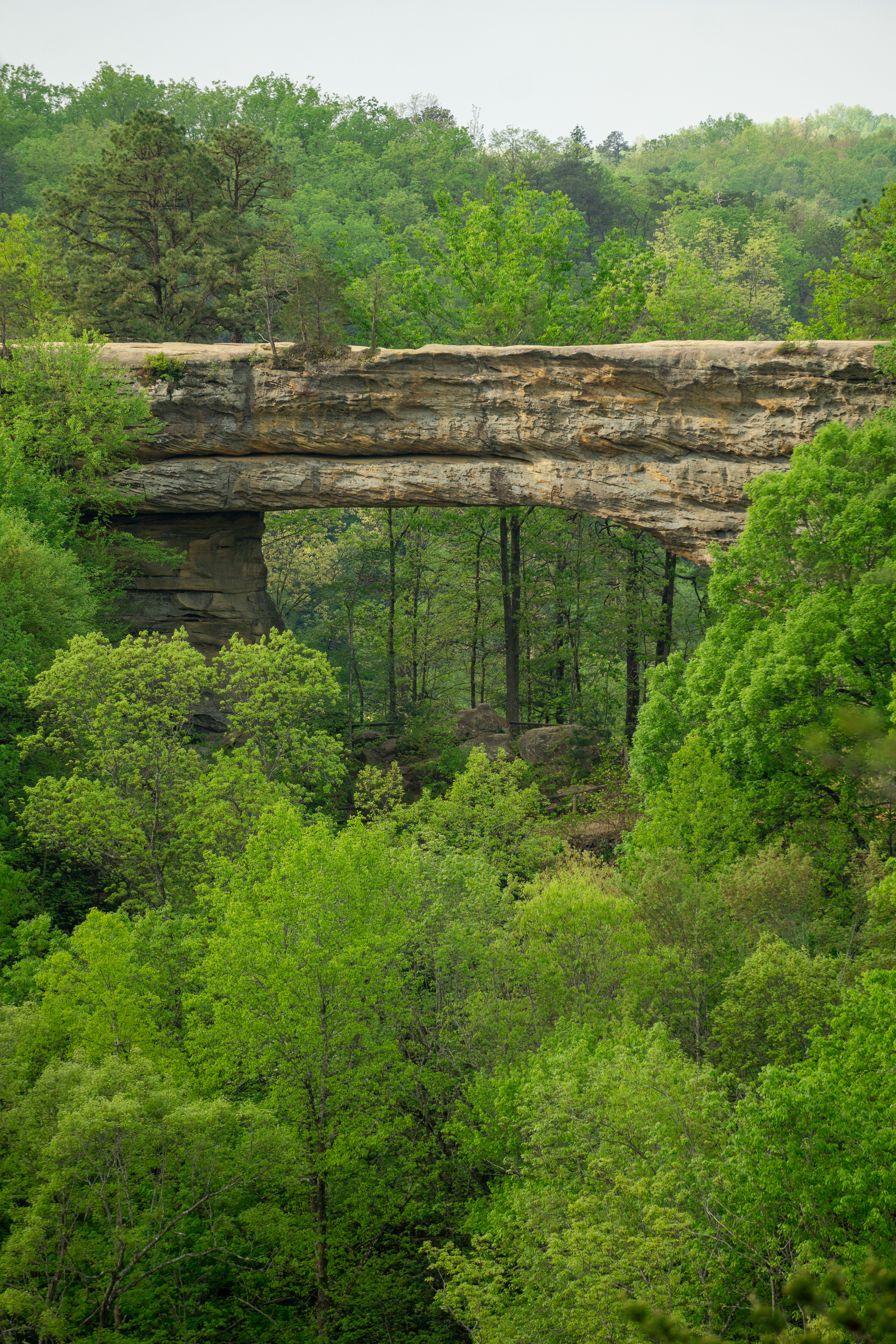 Natural Bridge