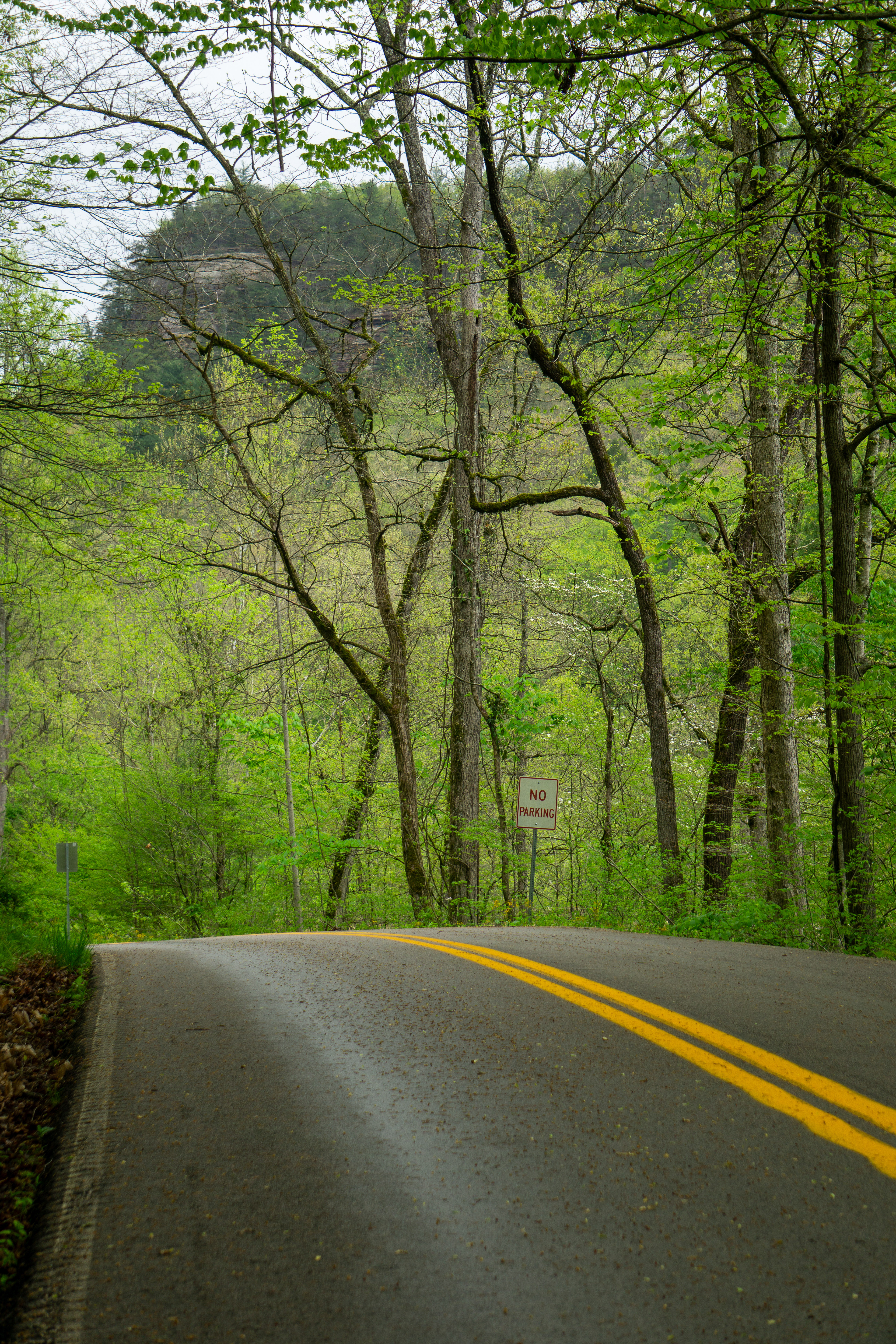 Scenic road section
