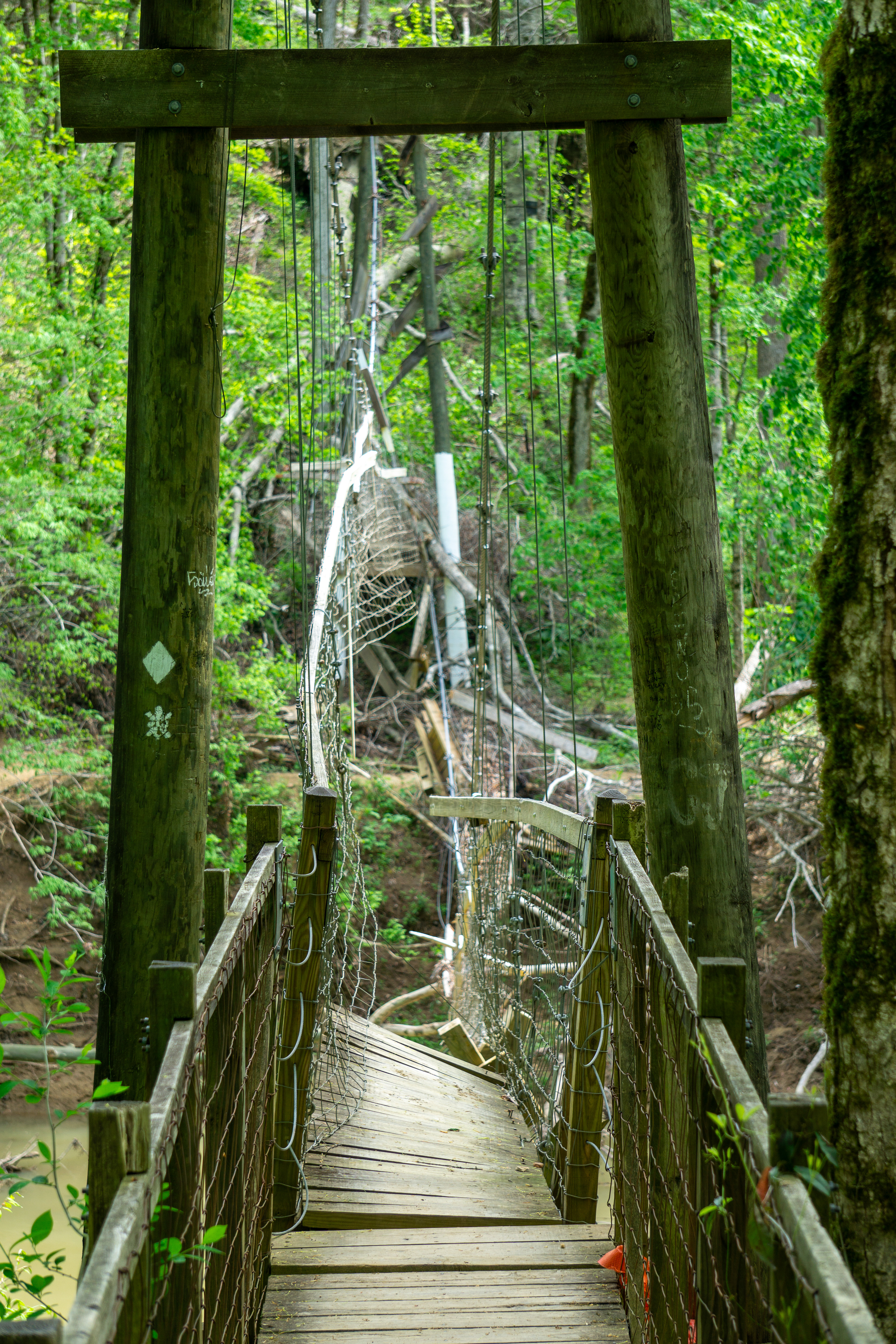 And maybe the bridge isn't too bad
