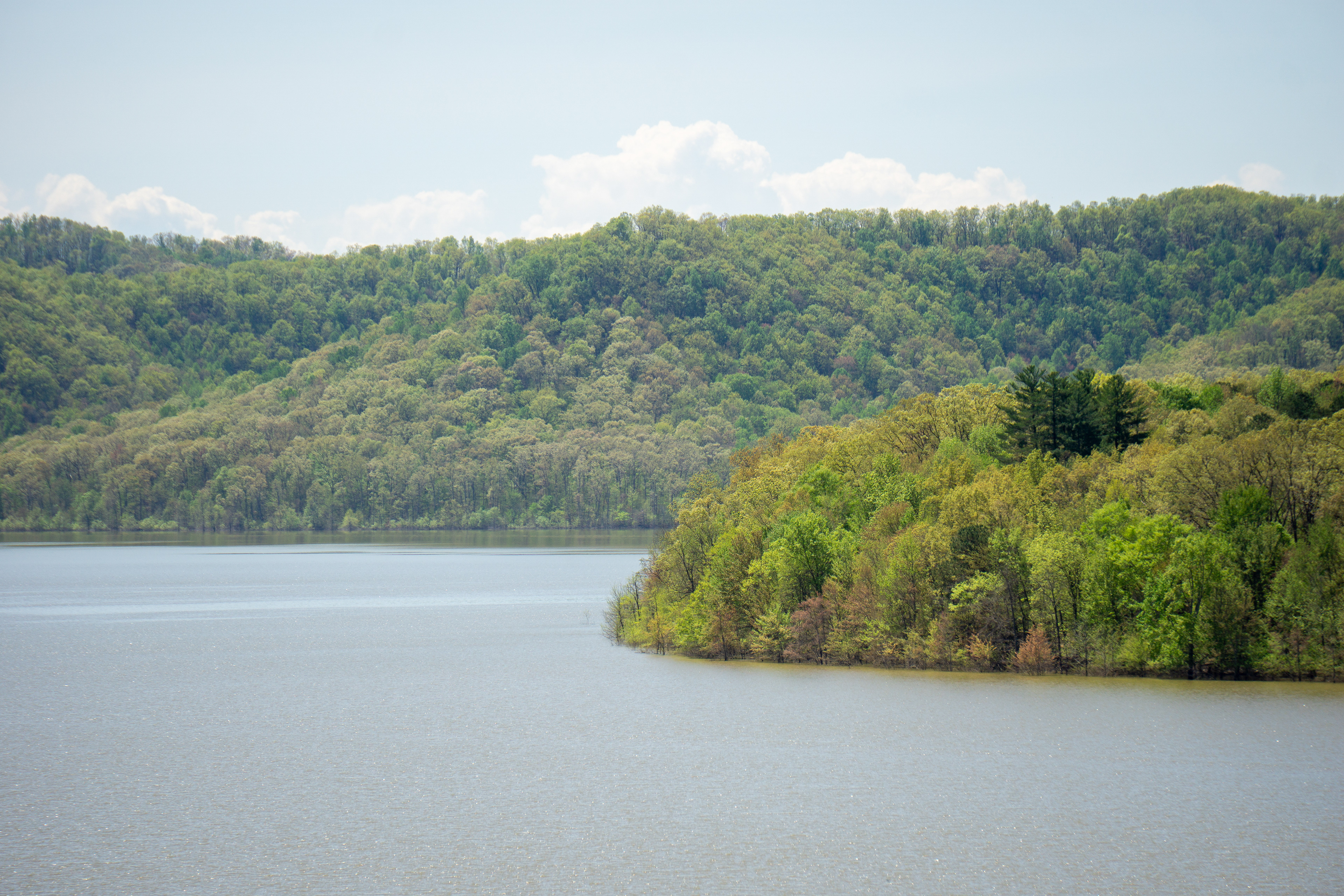 Cave Run Lake from the visitor center