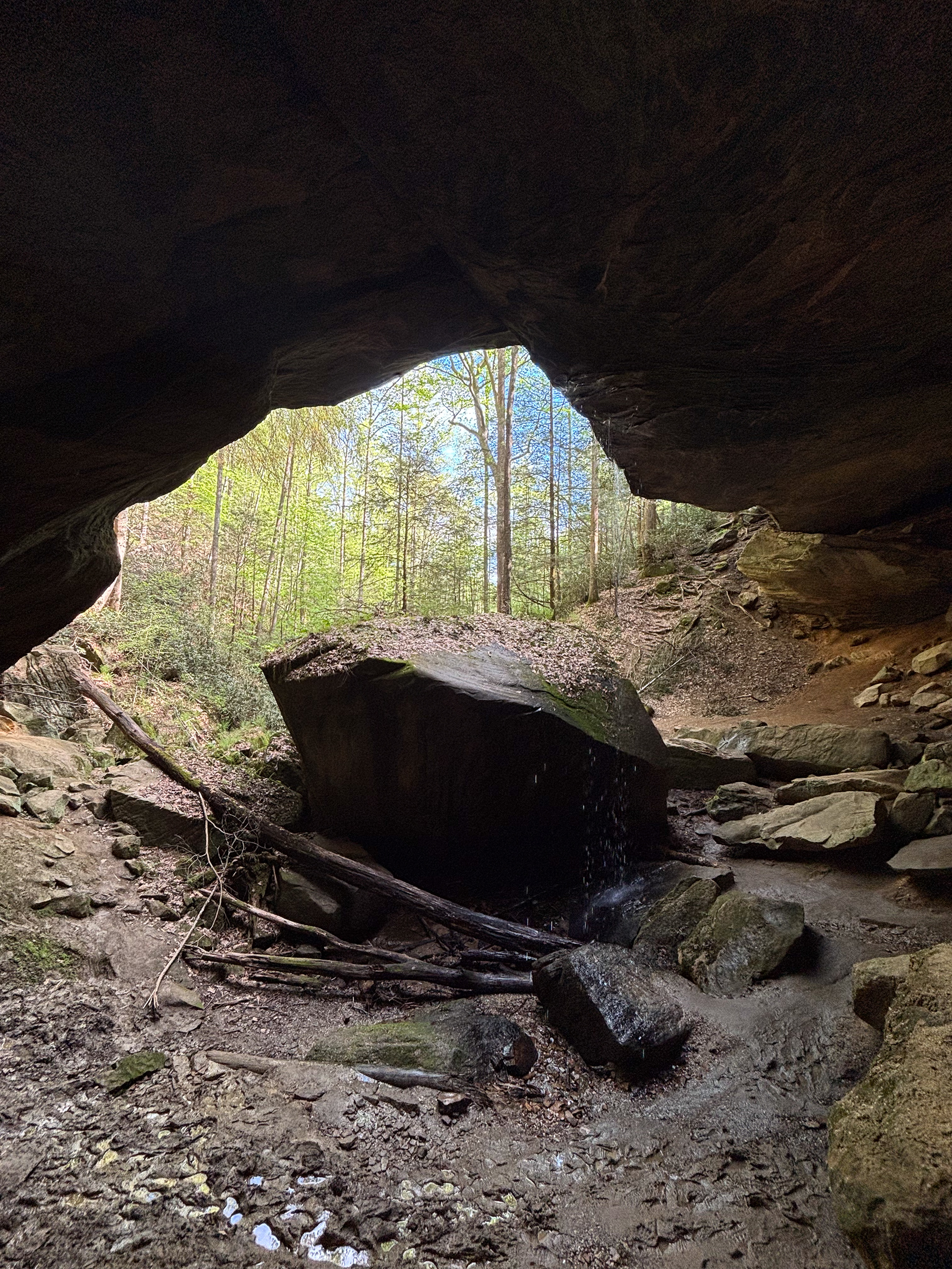 Whittleton Arch
