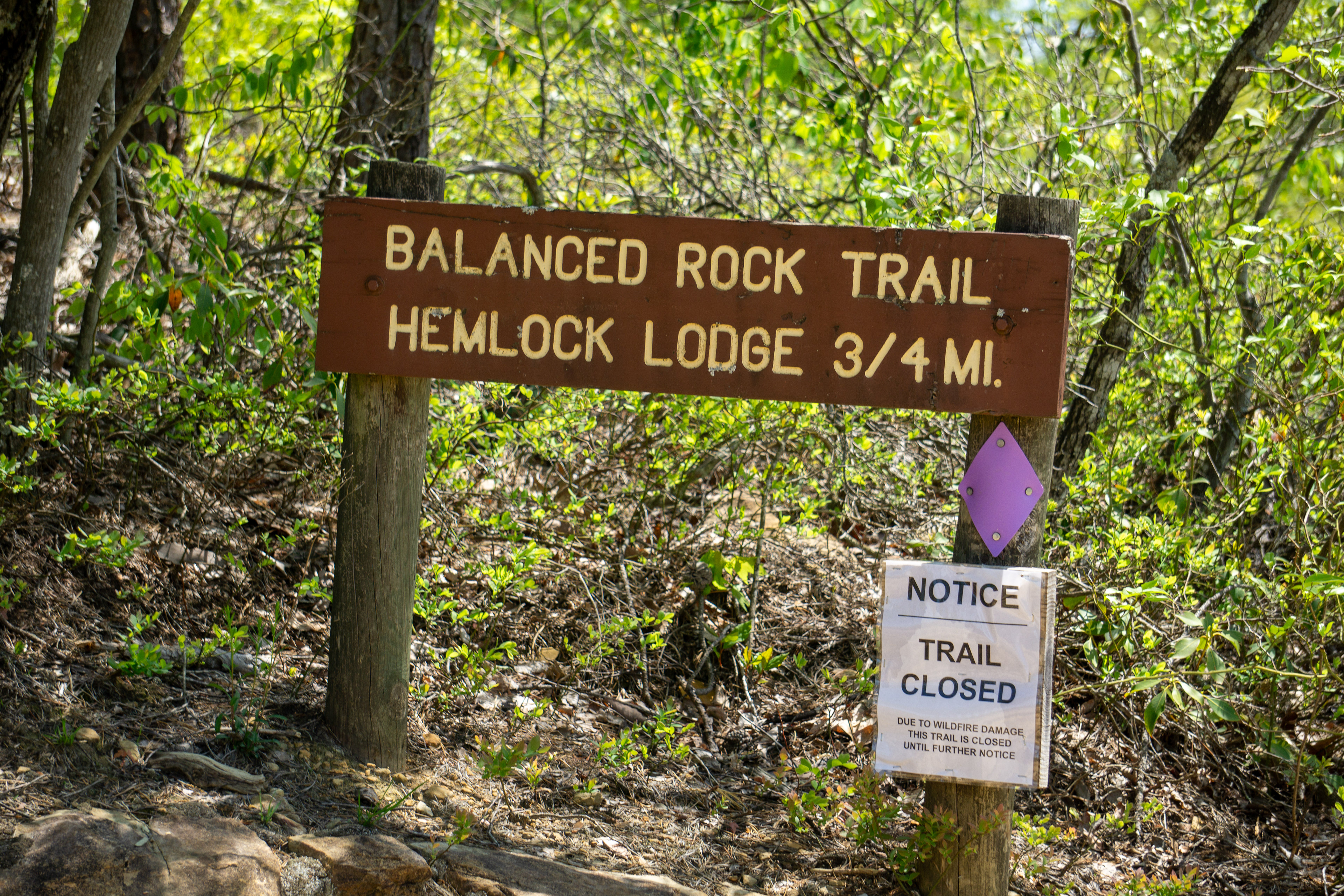 Should have seen the trail would be closed sooner