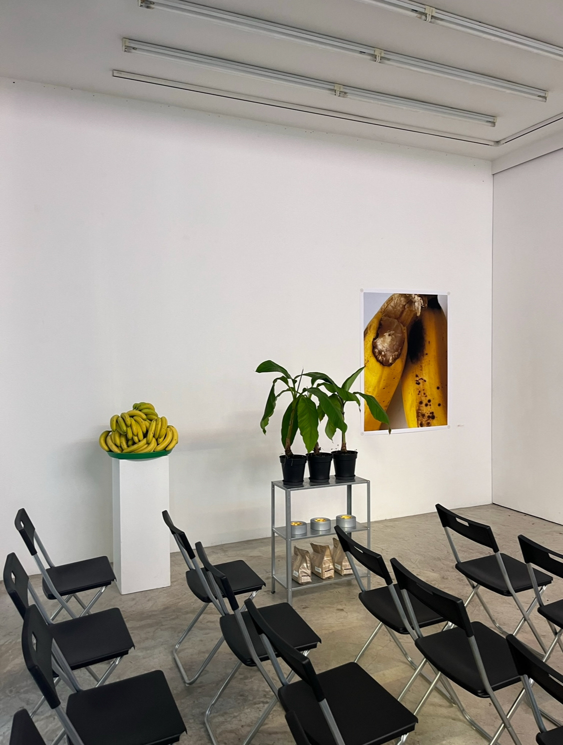 event organized by Rue Francaise themed around bananas