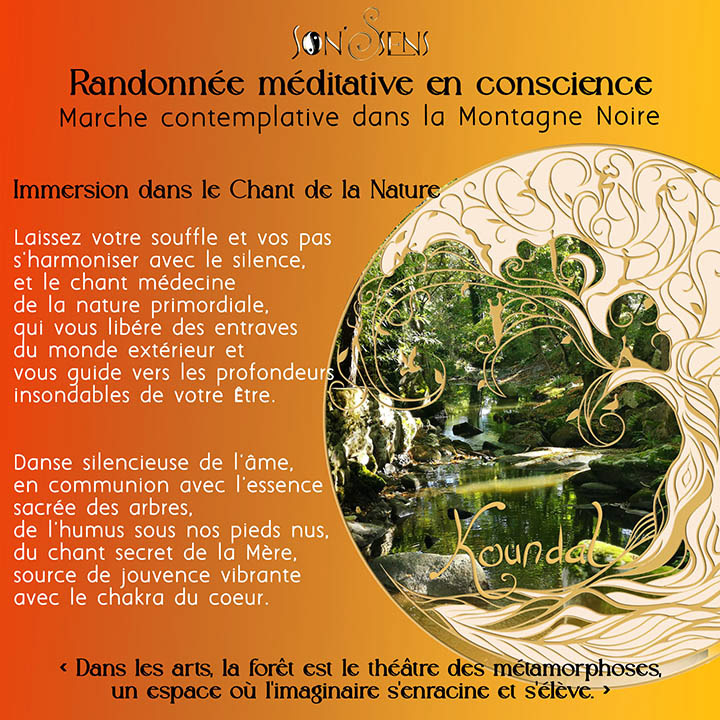 Randonnée - immersion dans le chant de la forêt