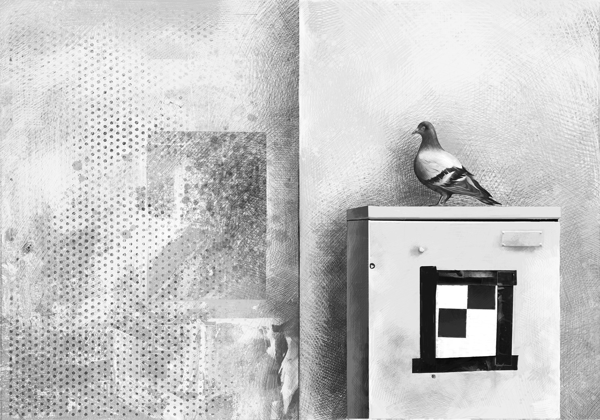 Pigeon