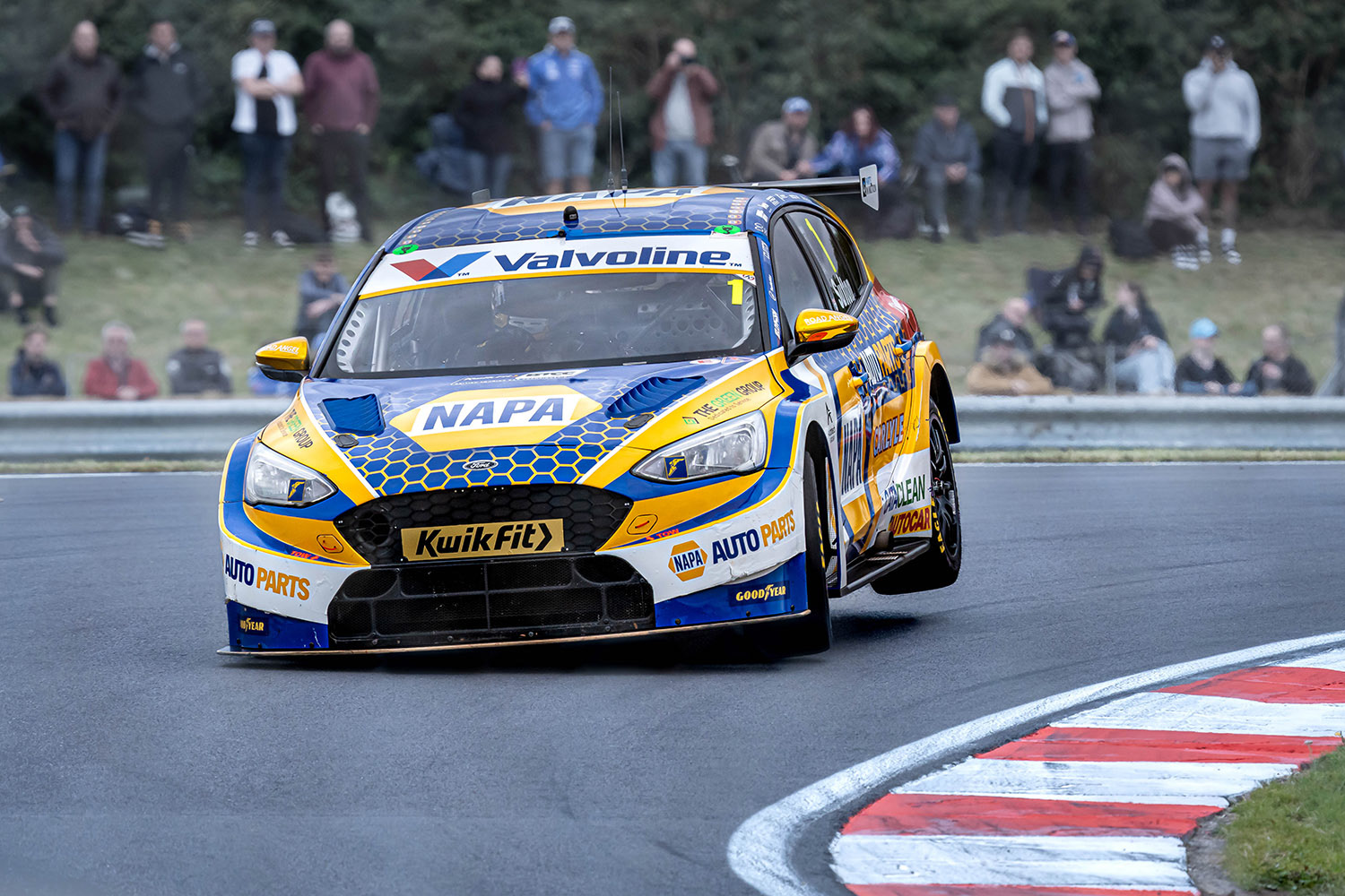 Ashley Sutton - NAPA Racing, Ford Focus ST