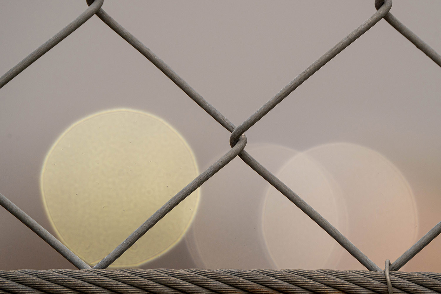 Through the fence