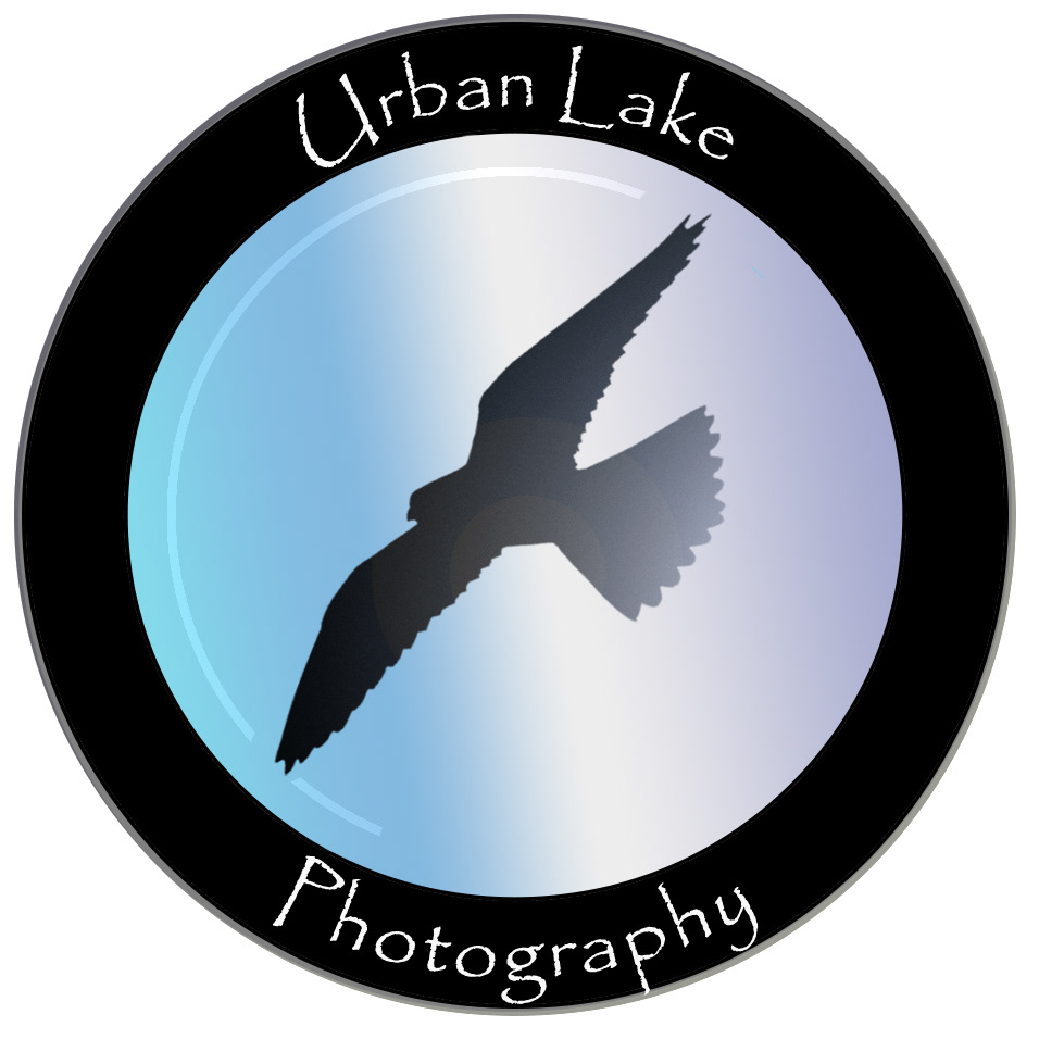 Urban Lake Photography