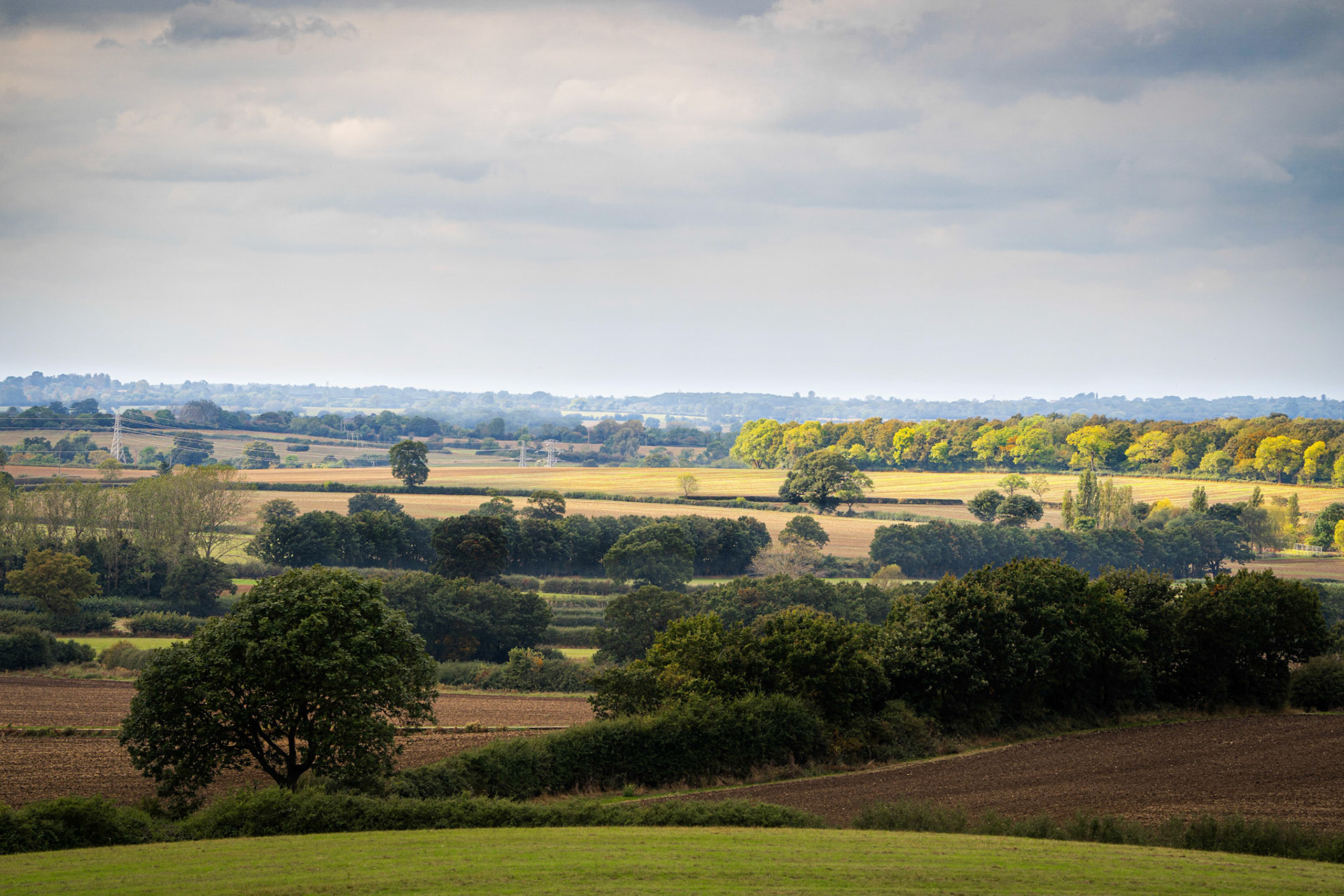 Fields