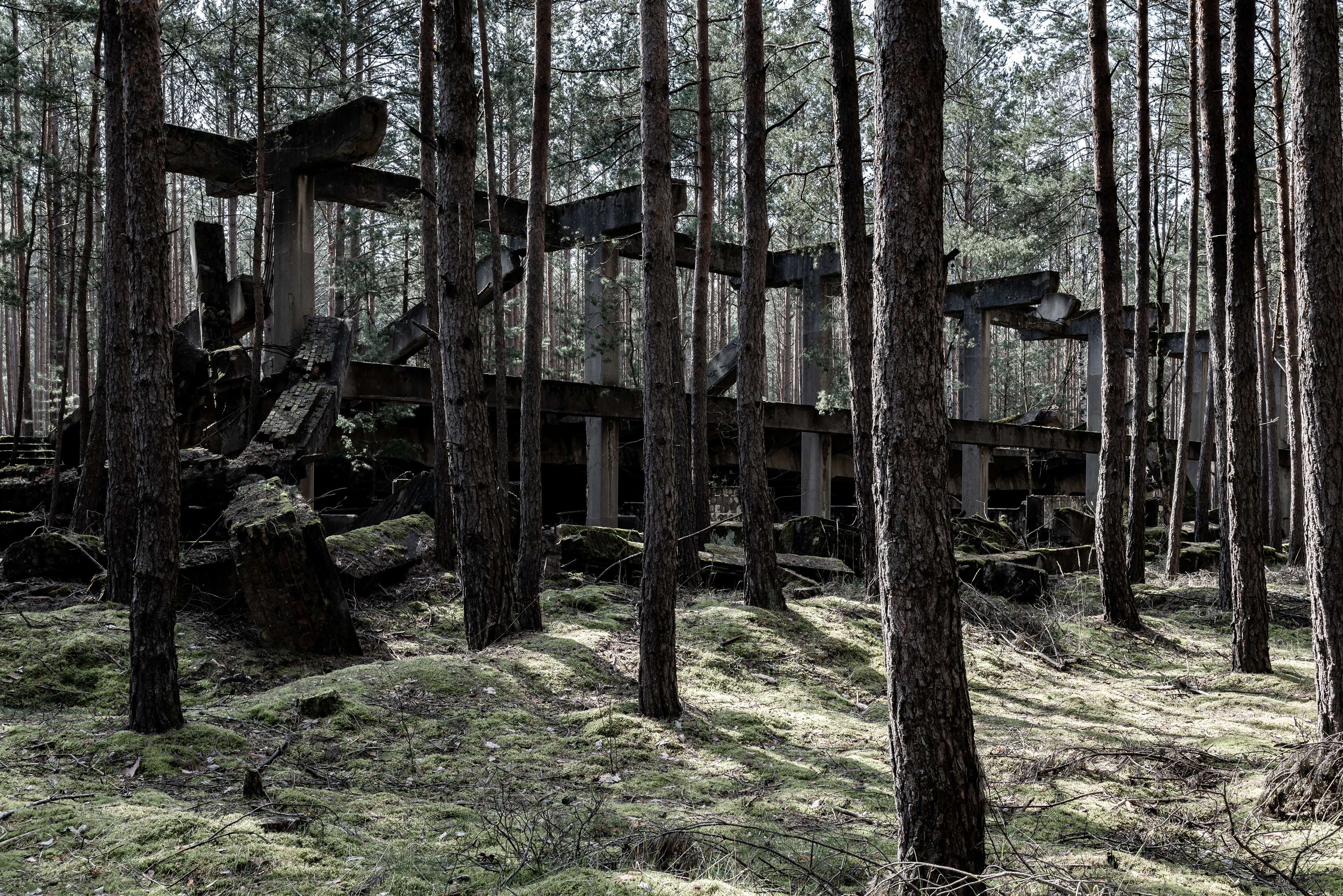 Kombinat DAG Alfred Nobel Krzystkowice 