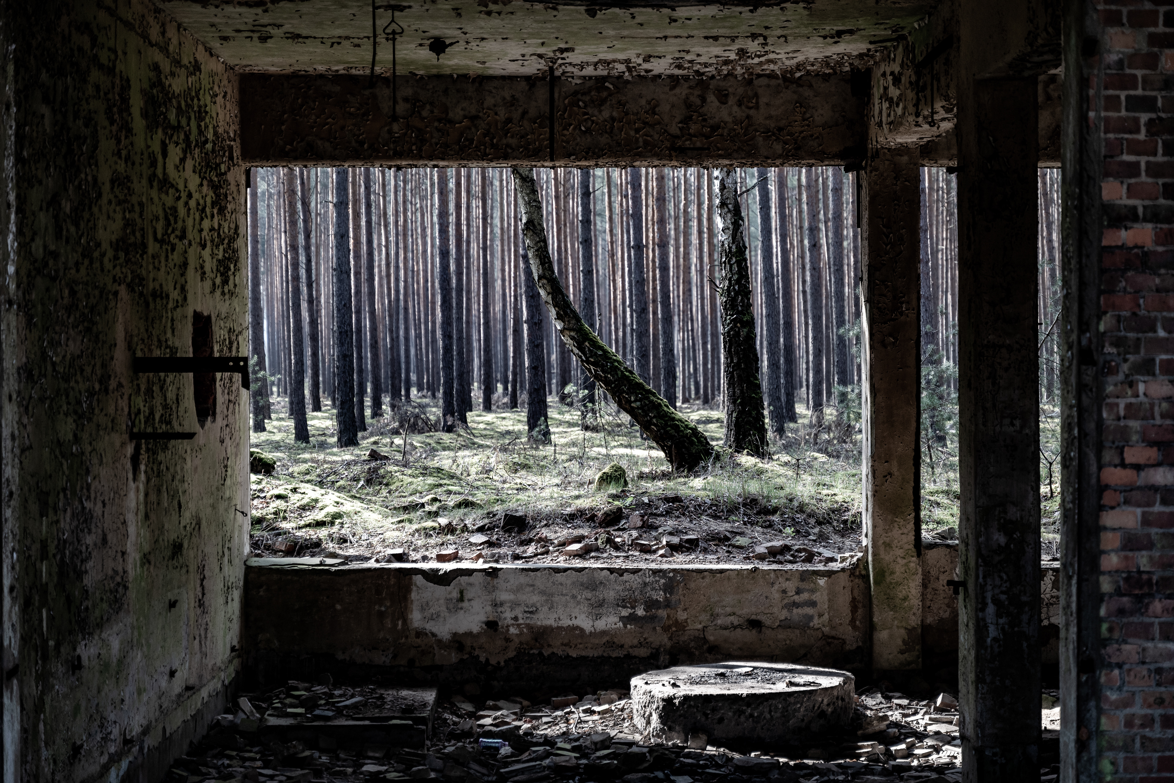 Kombinat DAG Alfred Nobel Krzystkowice 