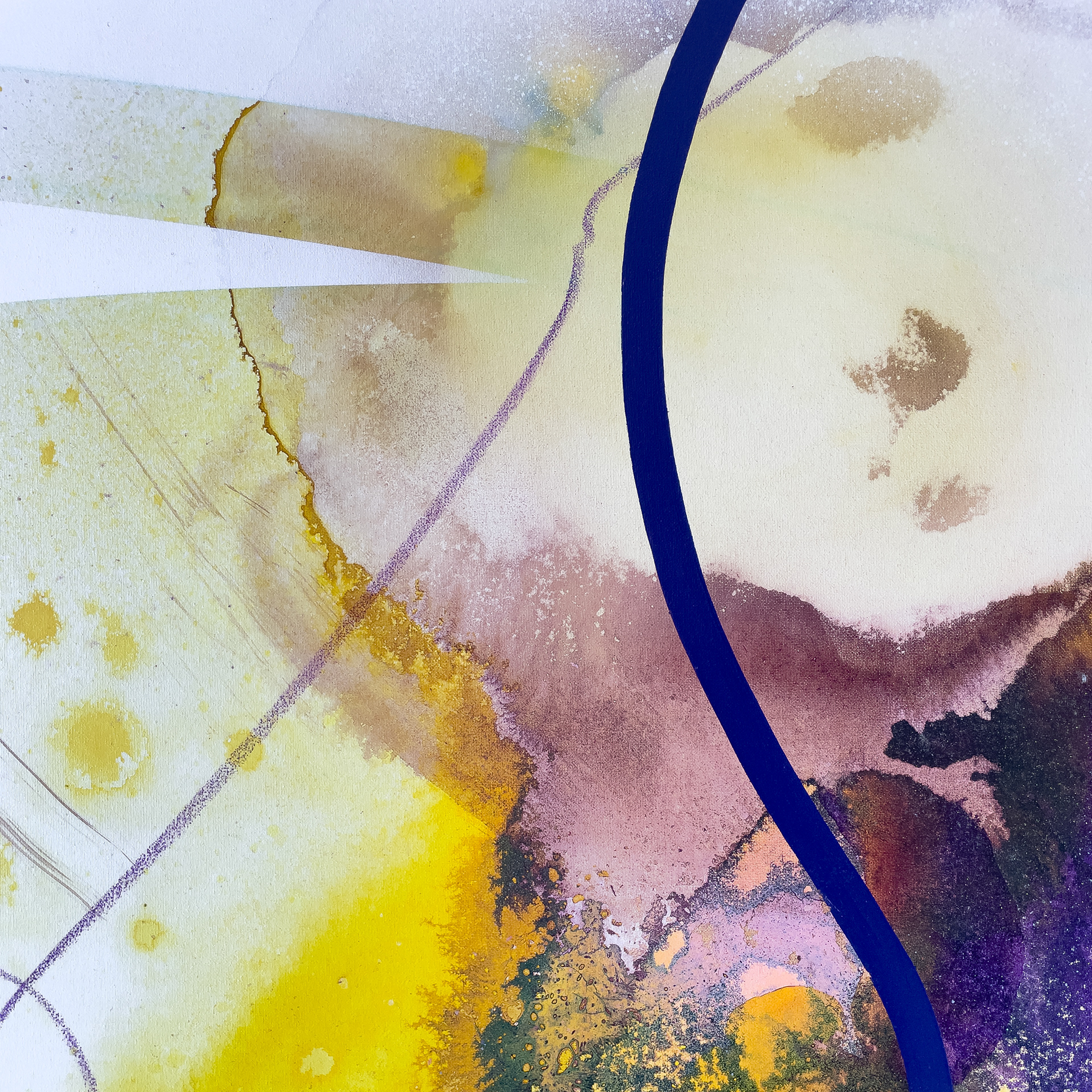 details of painting iris