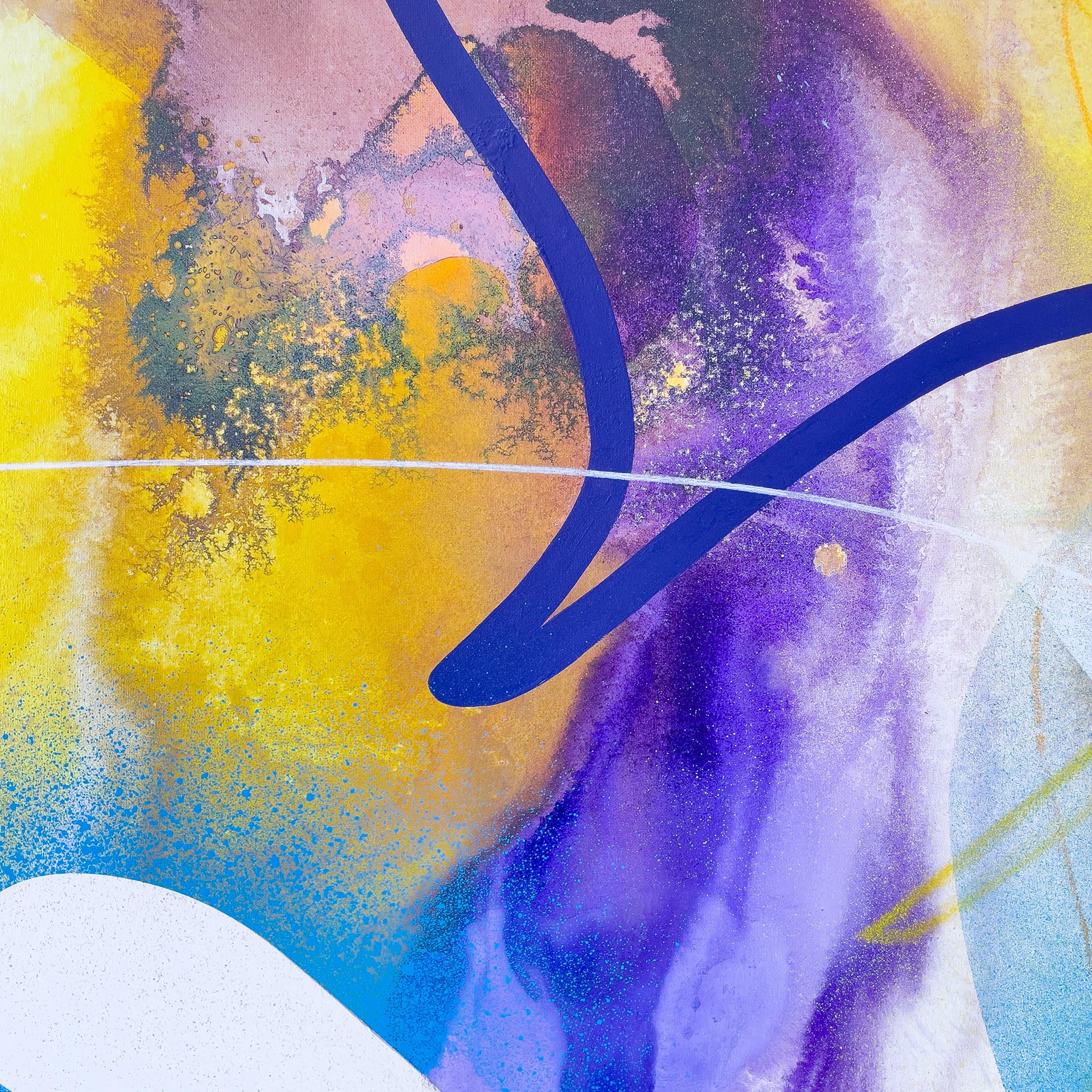 details of painting iris