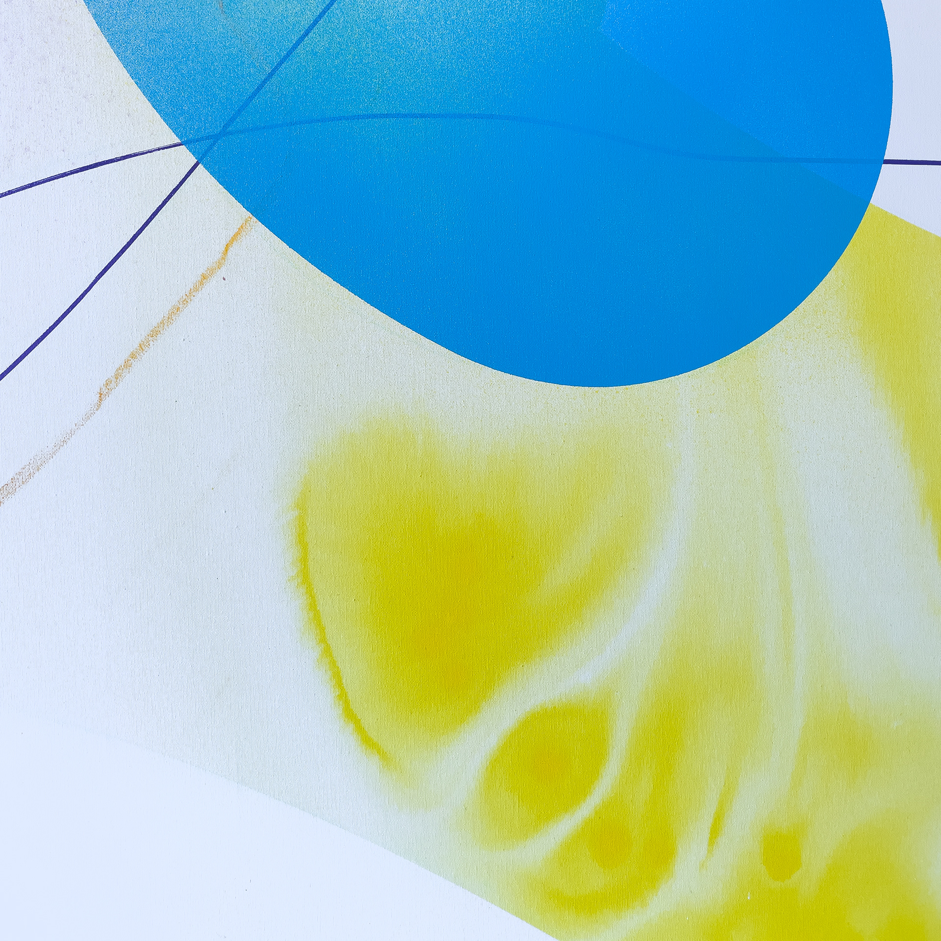details of painting iris