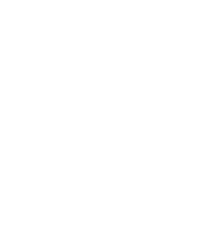 Martin Kafes33 Hirth