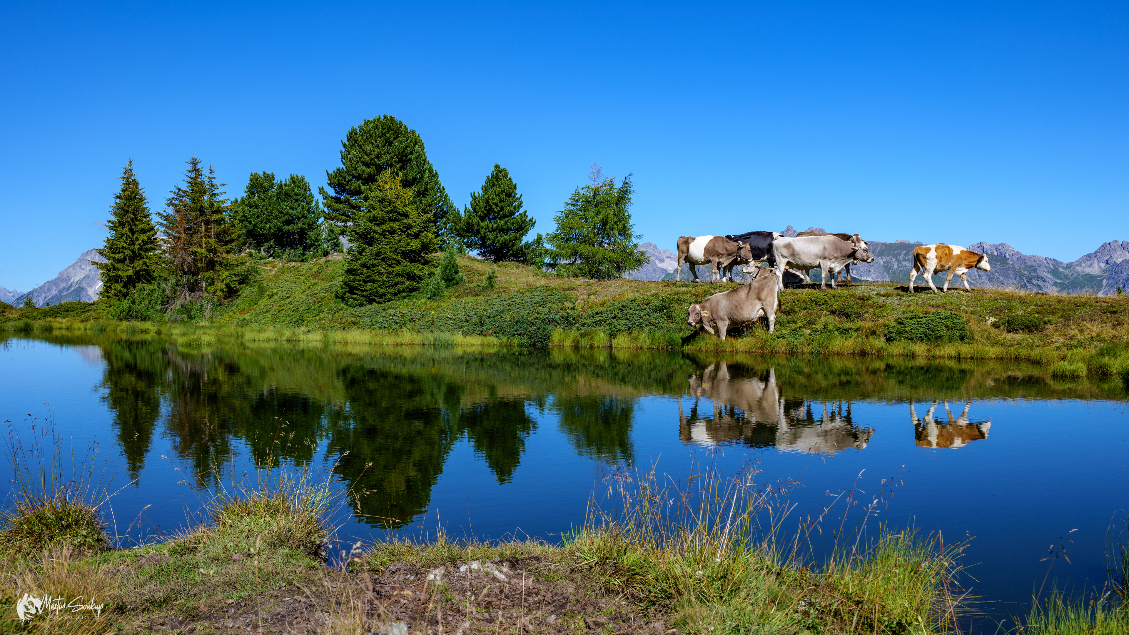 Skotem "okupované" Jezero Lacke See