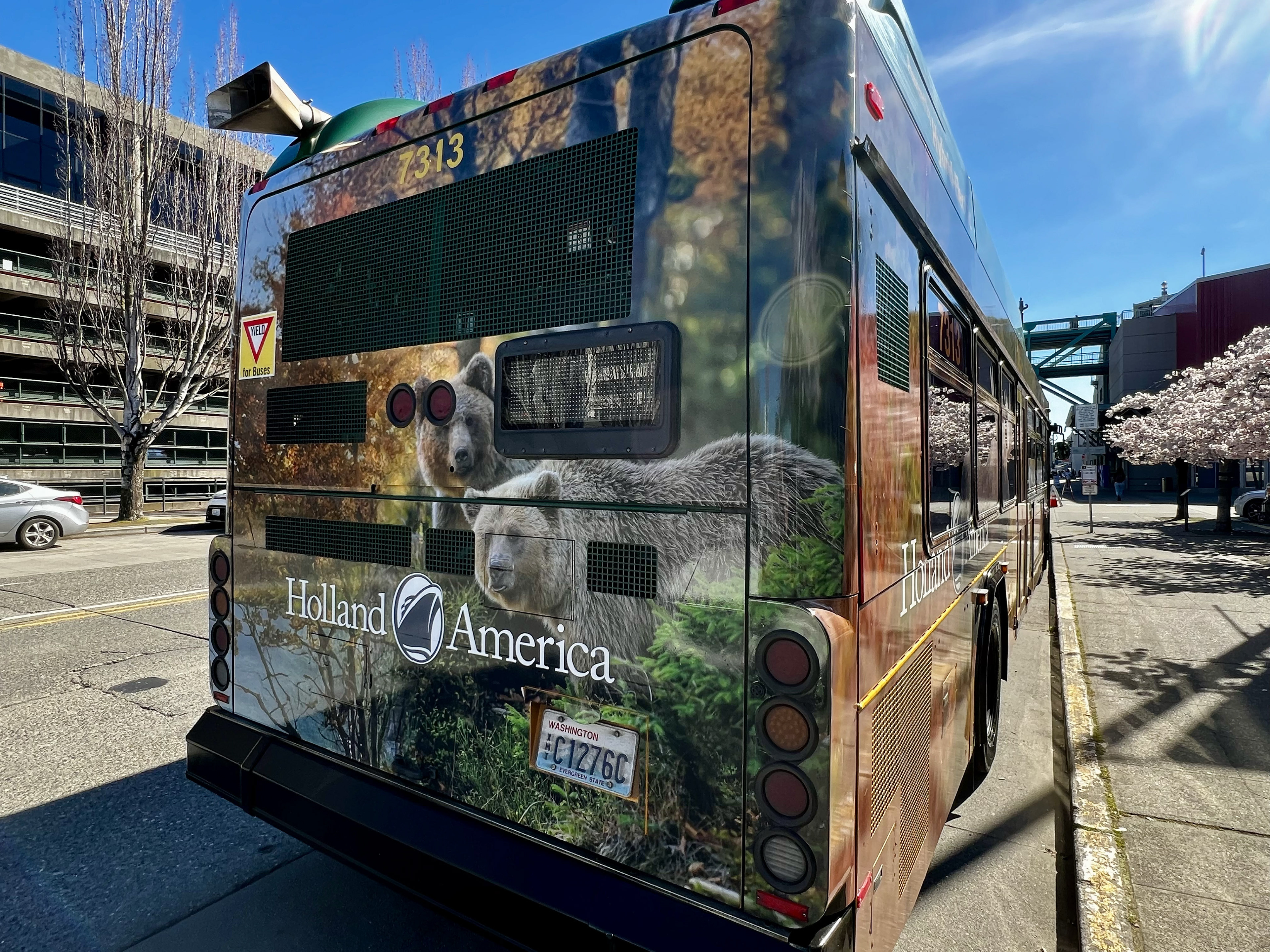 Full Bus Wrap Graphic