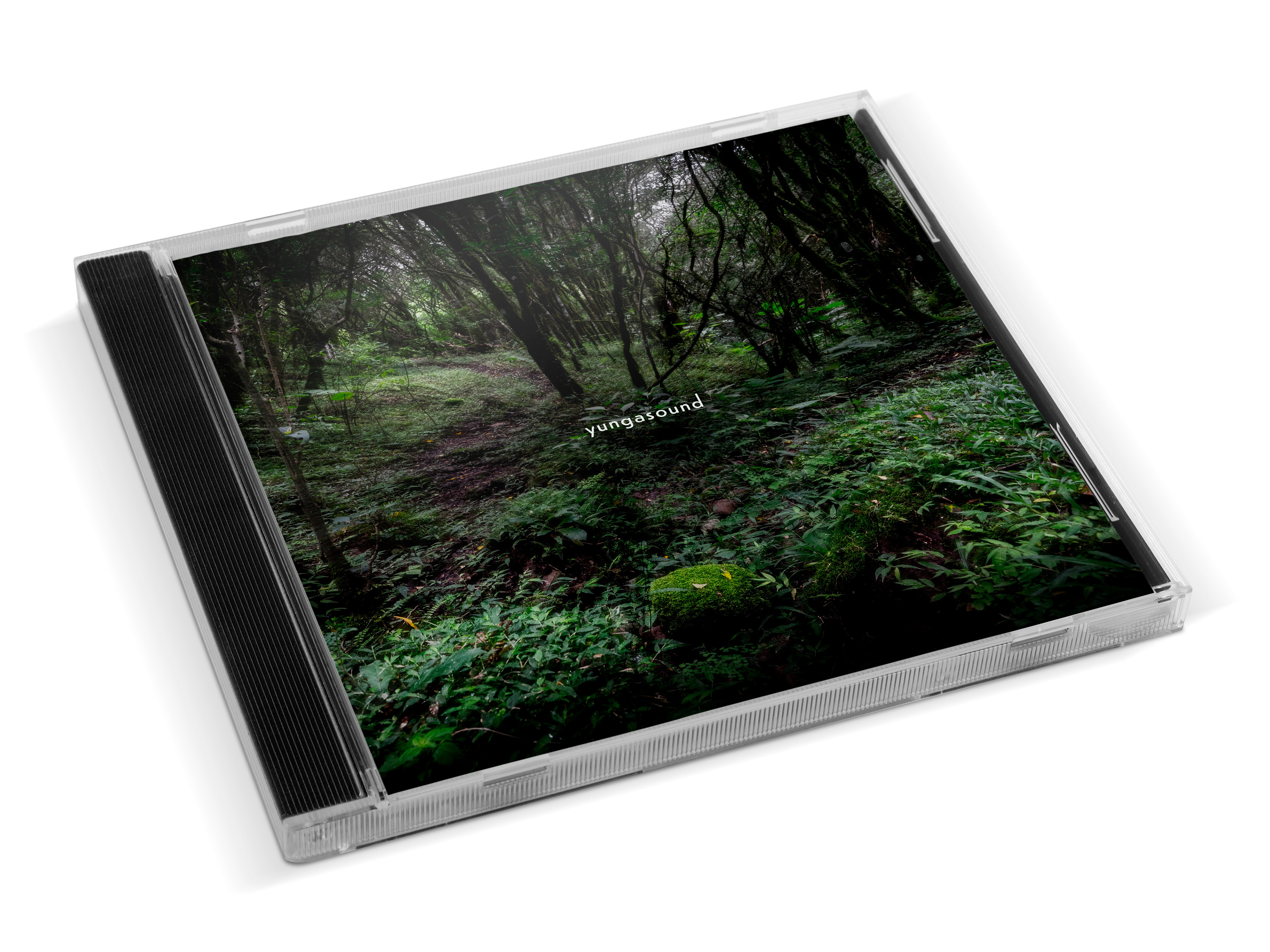 Yunga Sound (Live from Reyes) - Pacha y su Imaginario - 2021