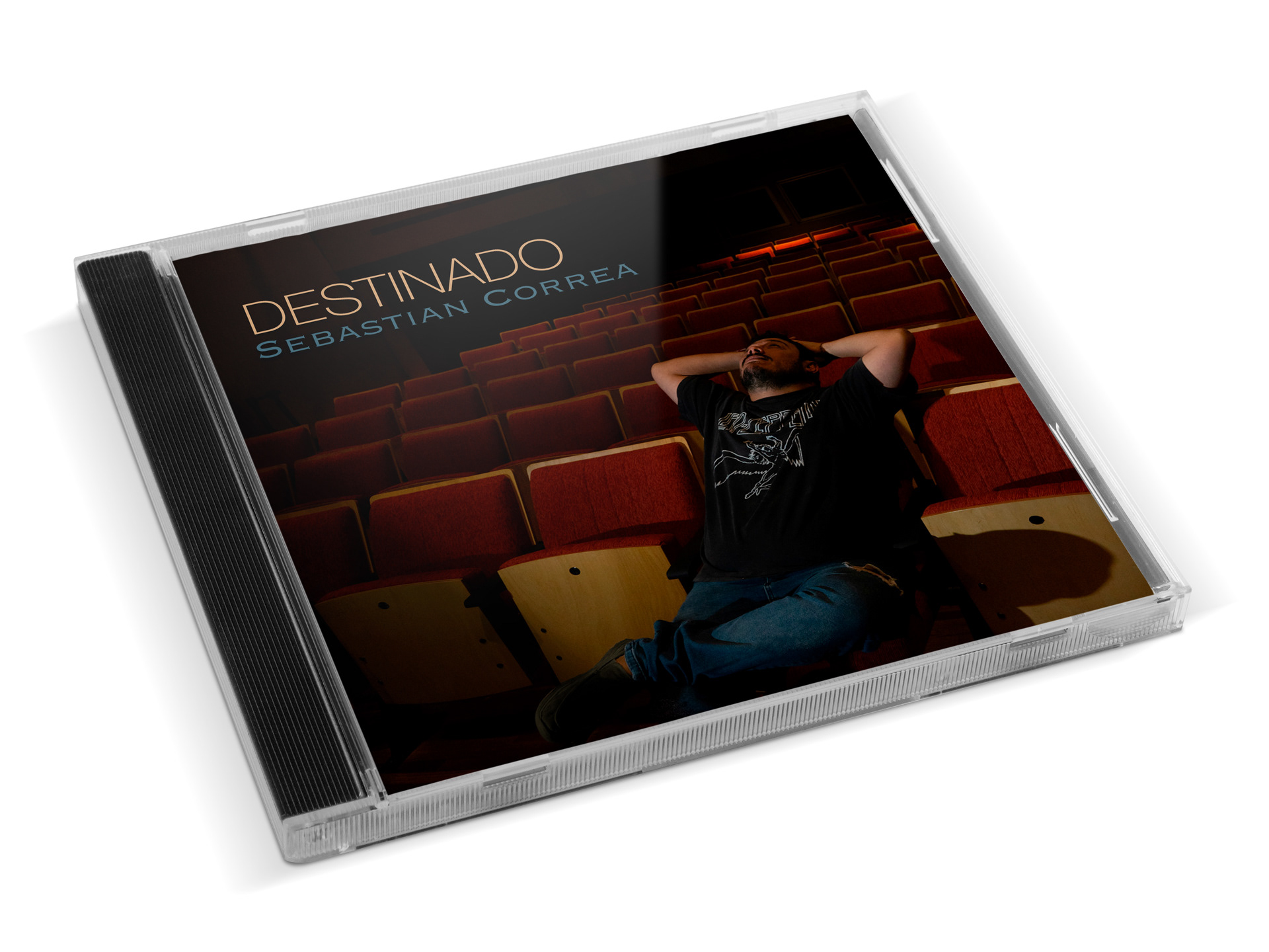 Destinado - Sebastián Correa