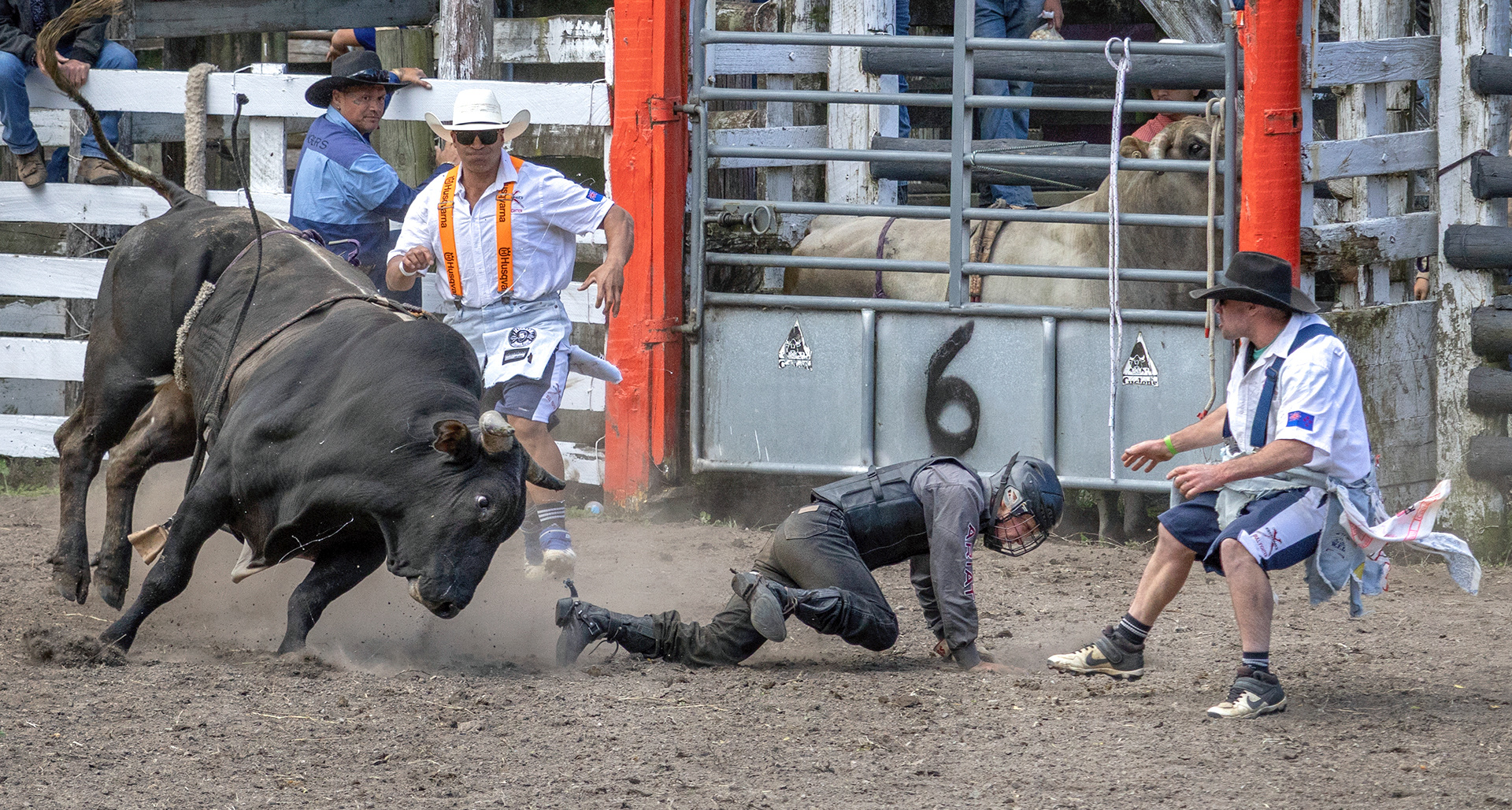 Bulls Eye