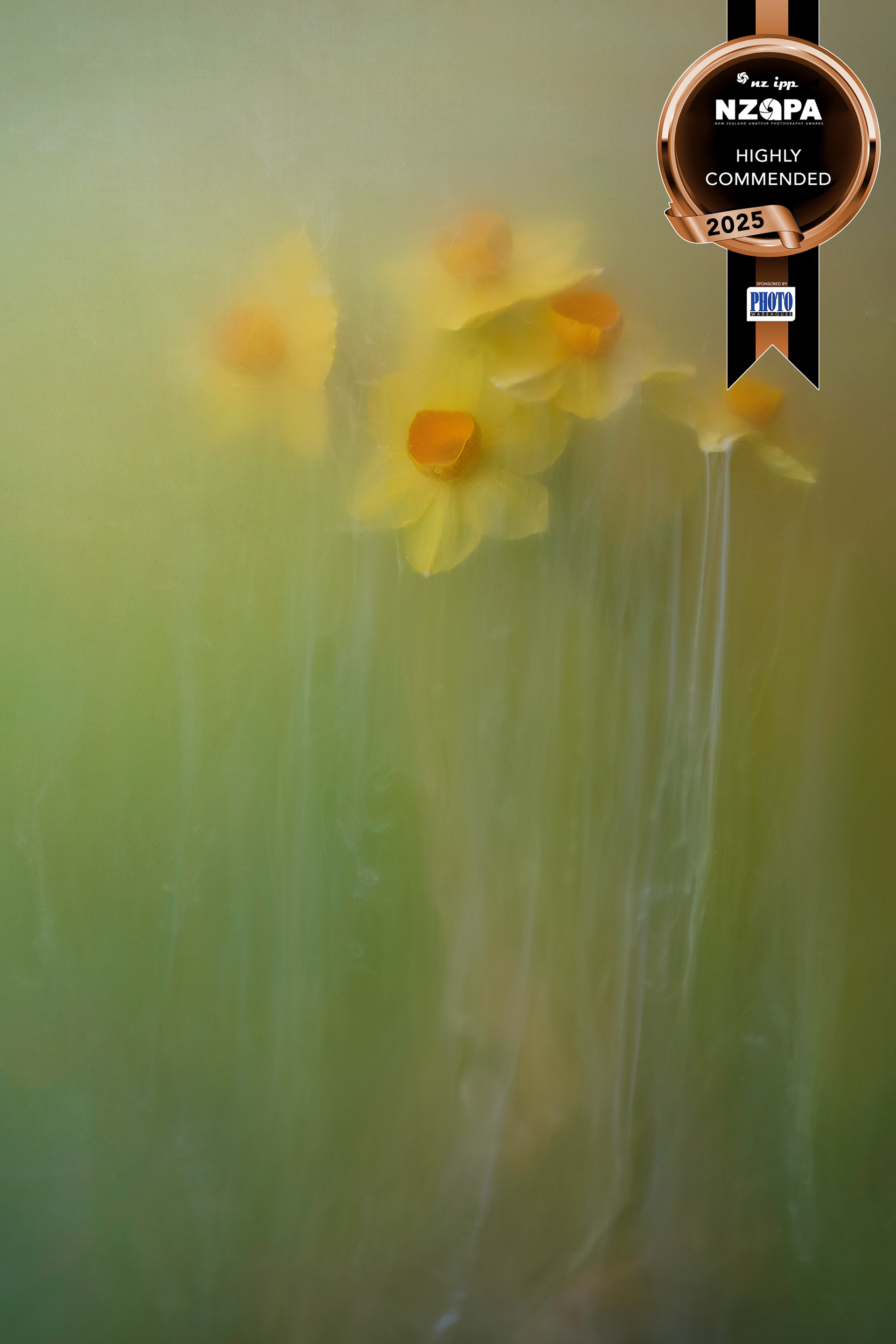 Dreaming of Spring