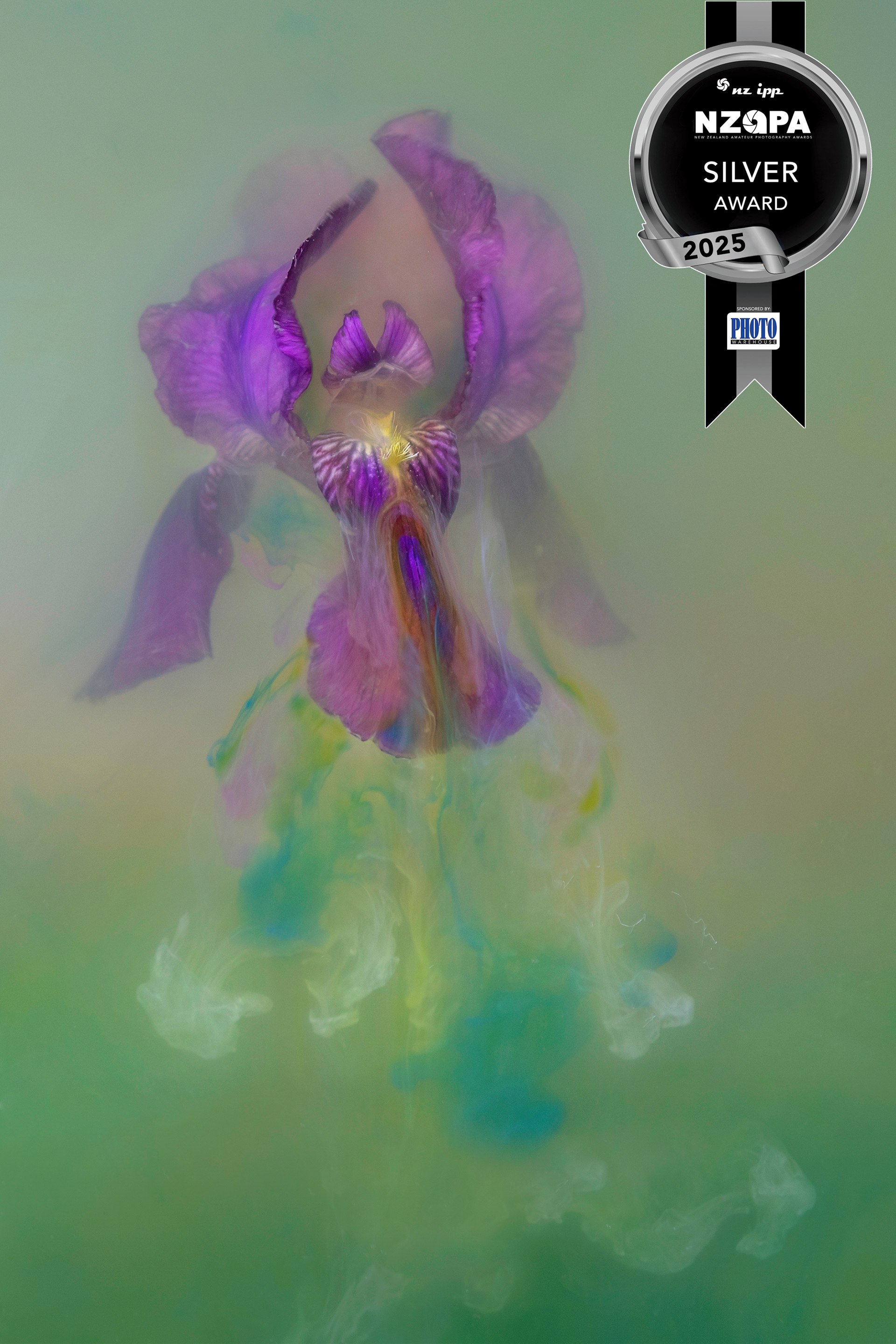 Iris Whimsy