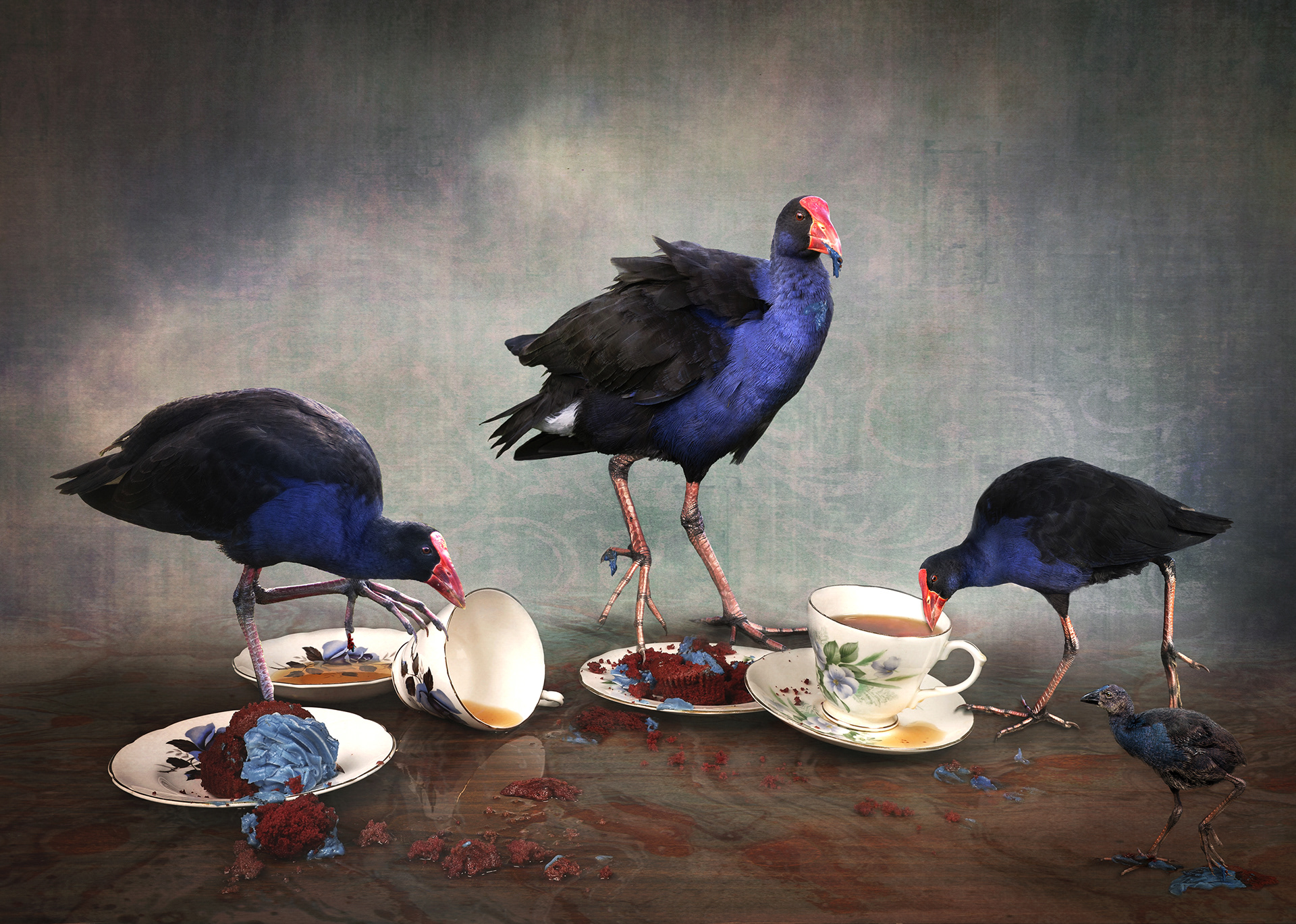 Pukeko Etiquette - Version 1  - Highly Commended