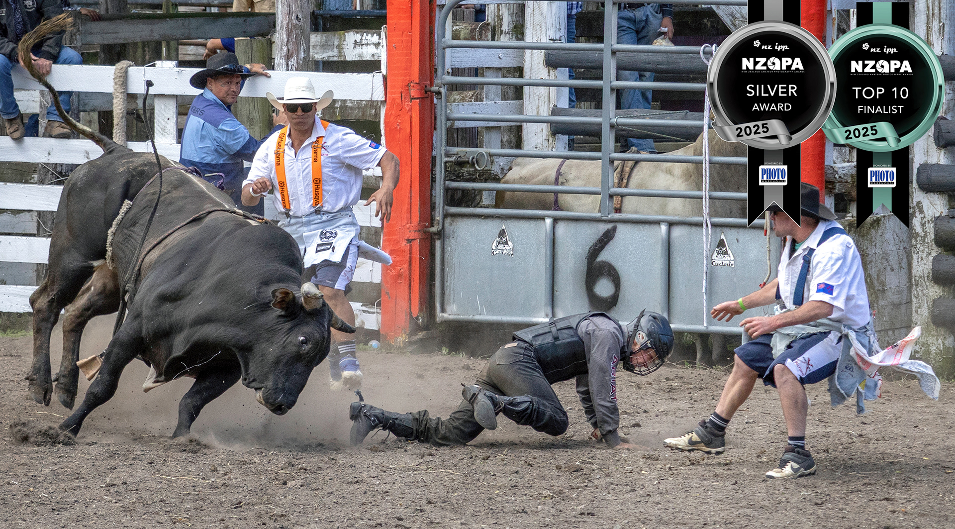 Bulls Eye
